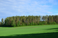 Röste.nu – Röstebilder – Midsommarfirande vid Dönjegården 2026