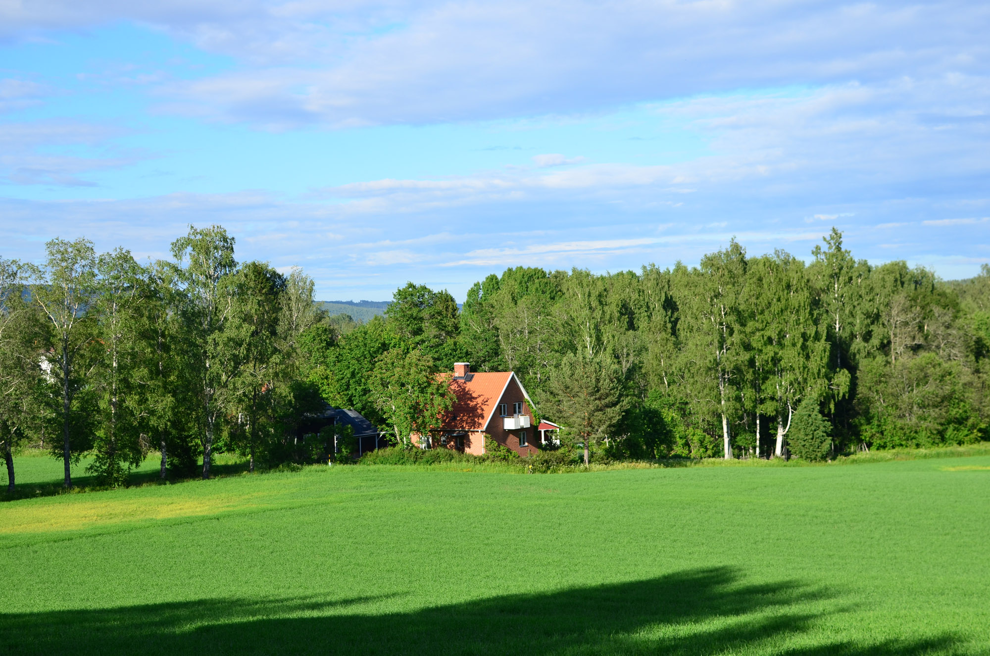 Röste.nu – Röstebilder – Inför midsommarfirandet vid Dönjegården 2026