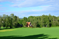 Röste.nu – Röstebilder – Midsommarfirande vid Dönjegården 2026