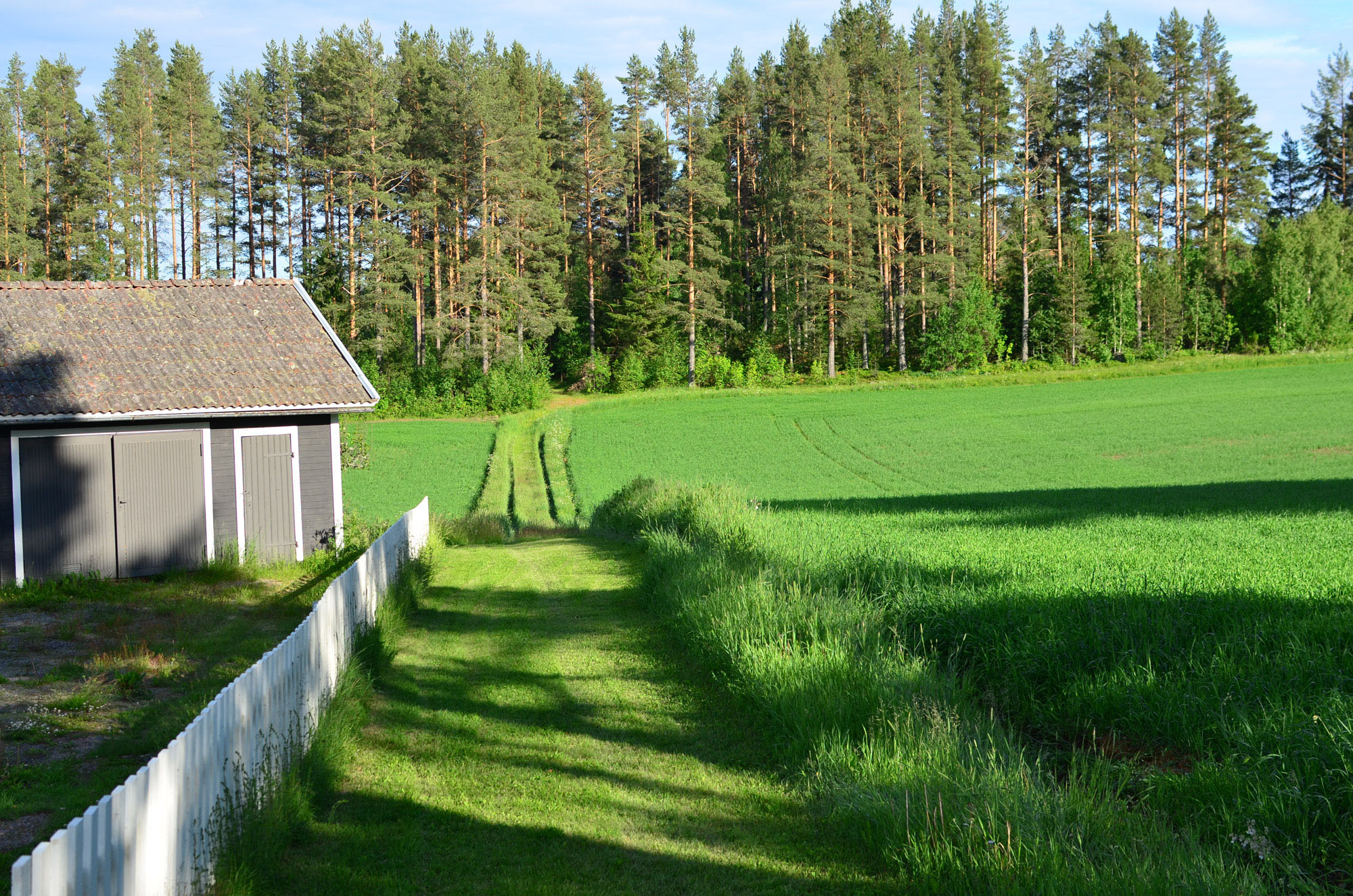 Röste.nu – Röstebilder – Inför midsommarfirandet vid Dönjegården 2026