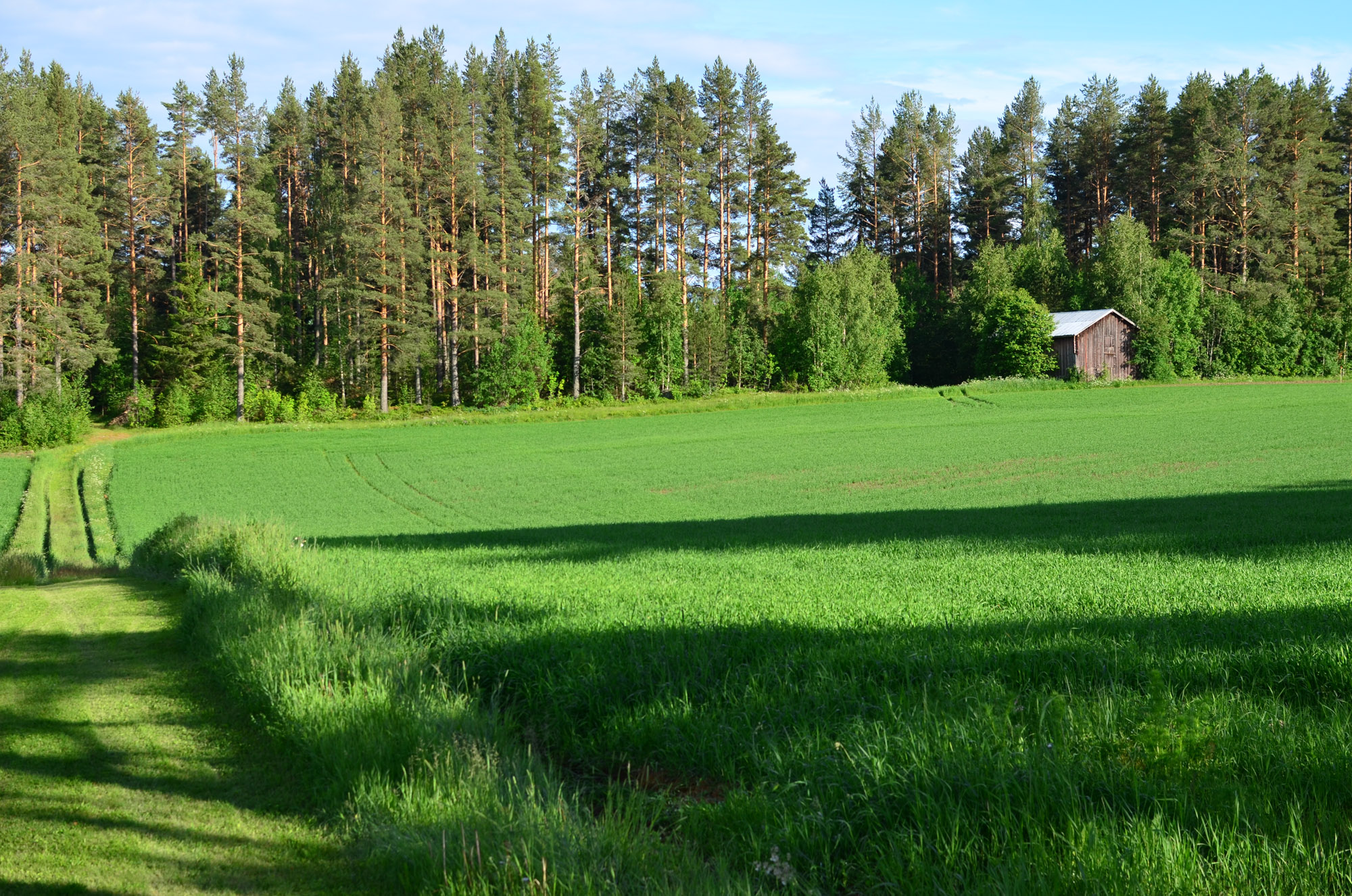 Röste.nu – Röstebilder – Inför midsommarfirandet vid Dönjegården 2026