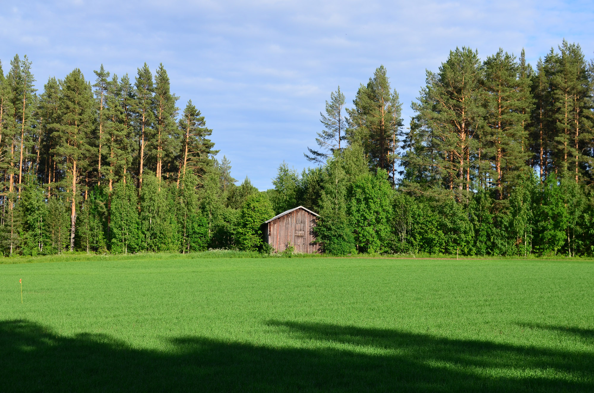 Röste.nu – Röstebilder – Inför midsommarfirandet vid Dönjegården 2026