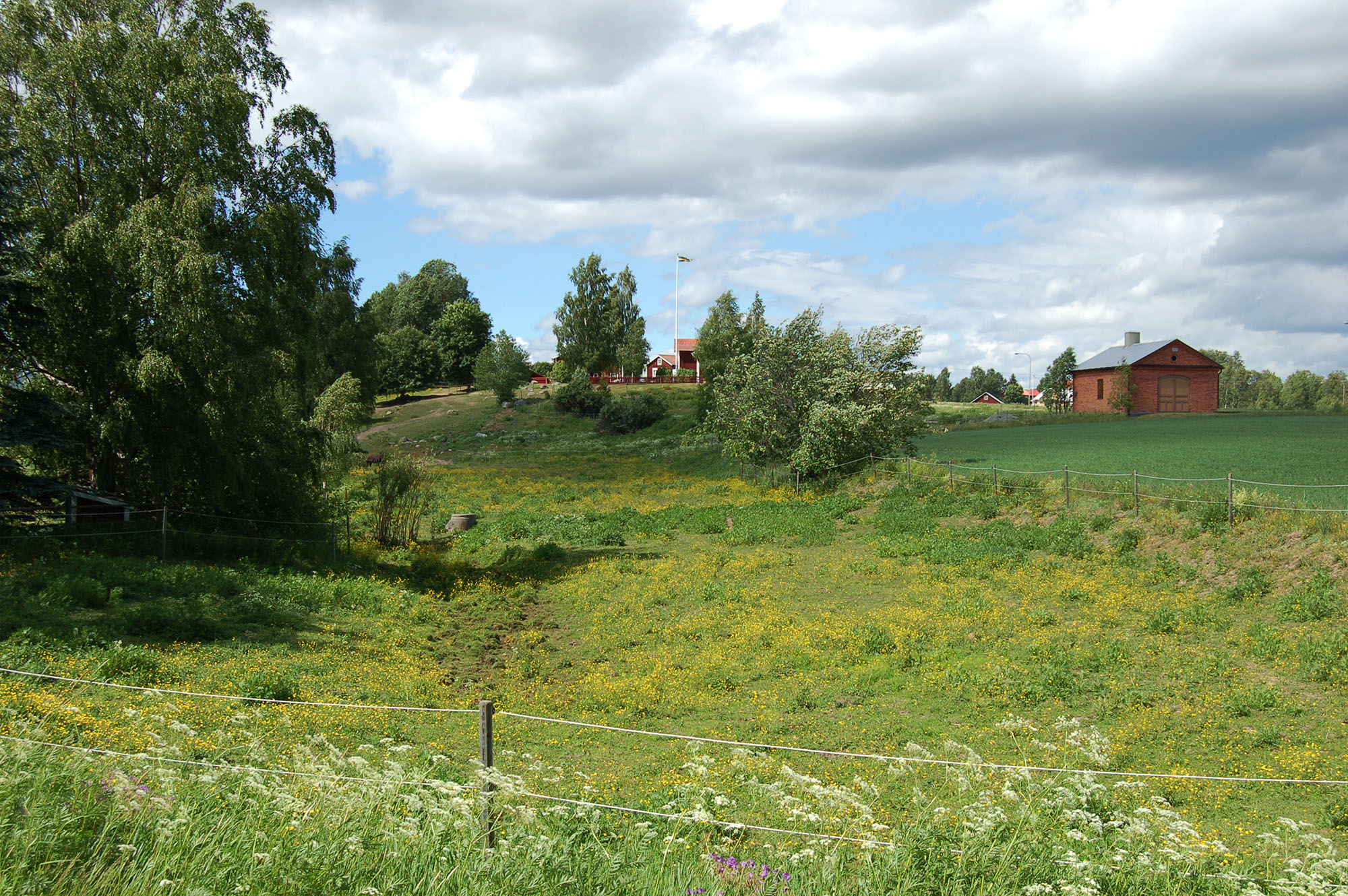 Röste.nu – Röstebilder – Midsommarfirande vid Dönjegården 2008