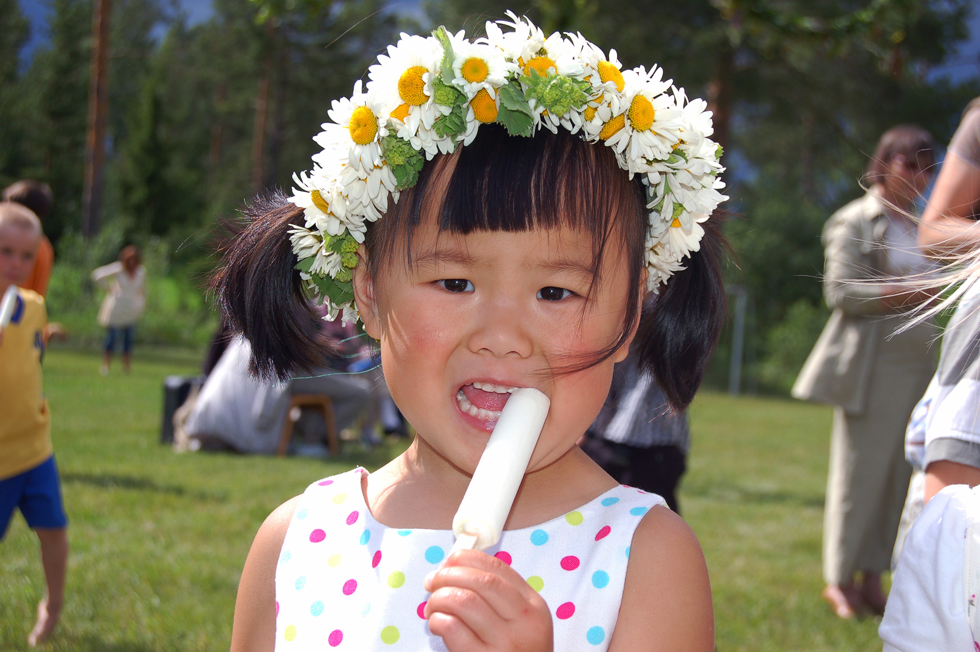 Röste.nu – Röstebilder – Midsommarfirande vid Dönjegården 2008