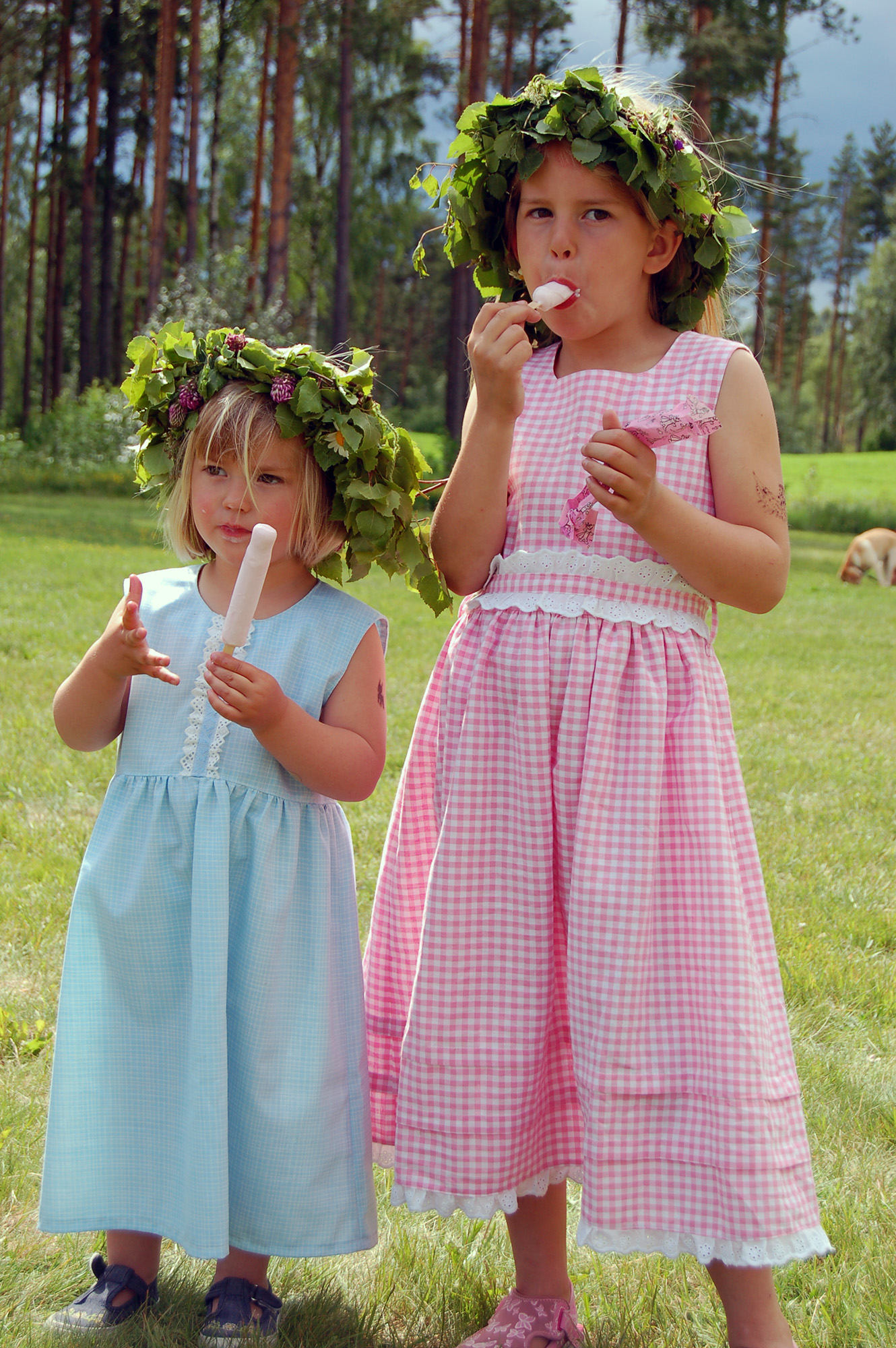 Röste.nu – Röstebilder – Midsommarfirande vid Dönjegården 2008