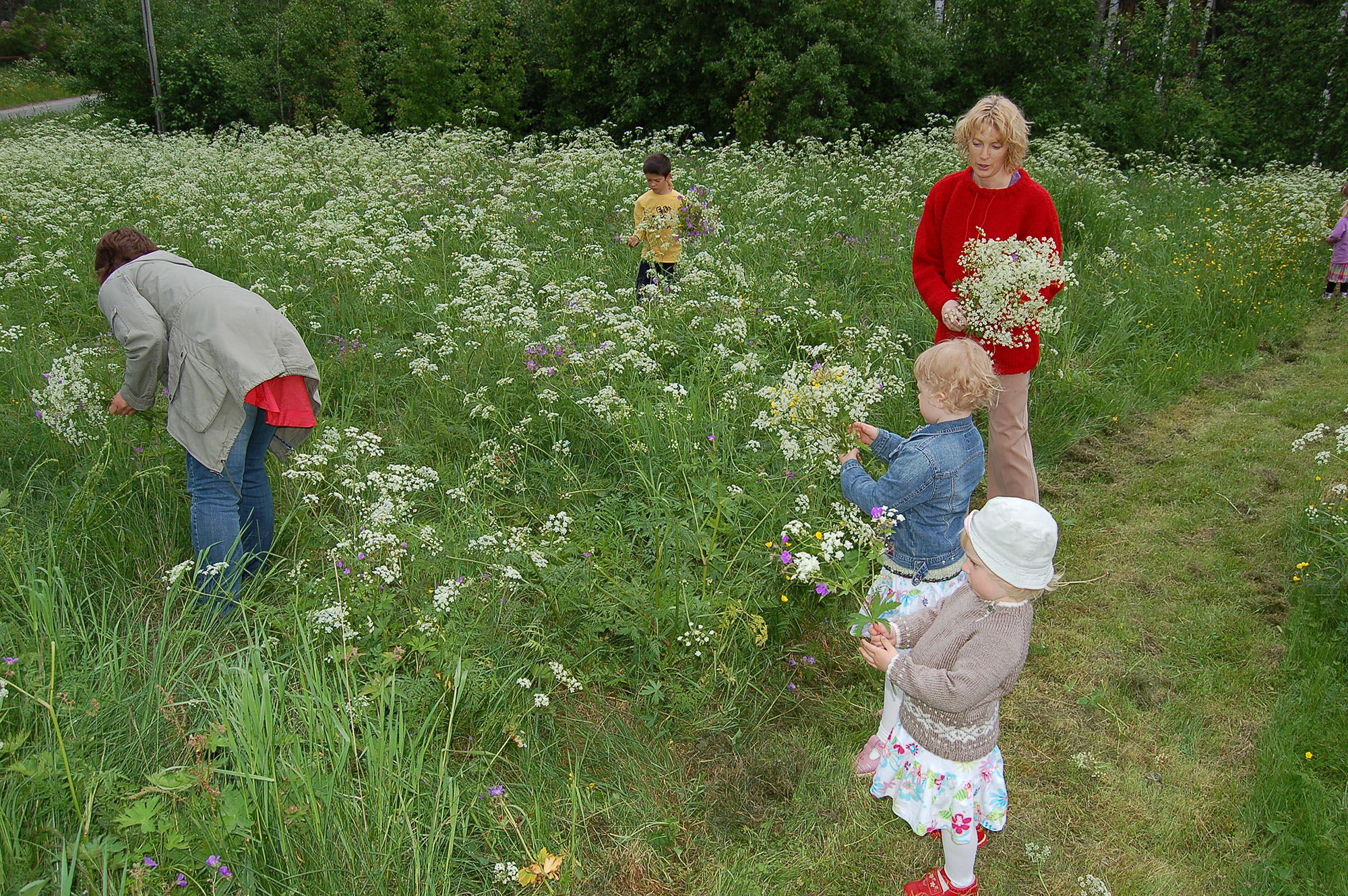 Röste.nu – Röstebilder – Midsommar vid Dönjegården 2009