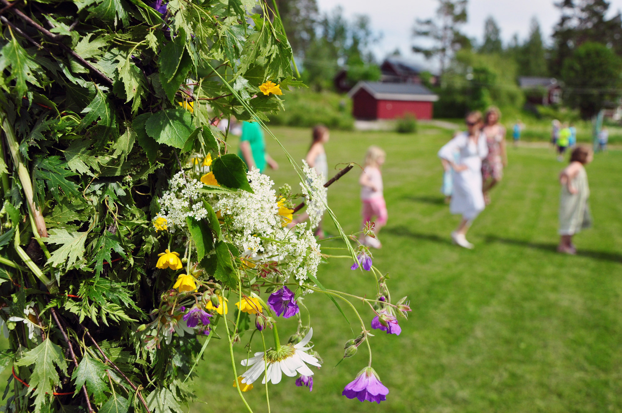 Röste.nu – Röstebilder – Midsommarfirande vid Dönjegården 2012