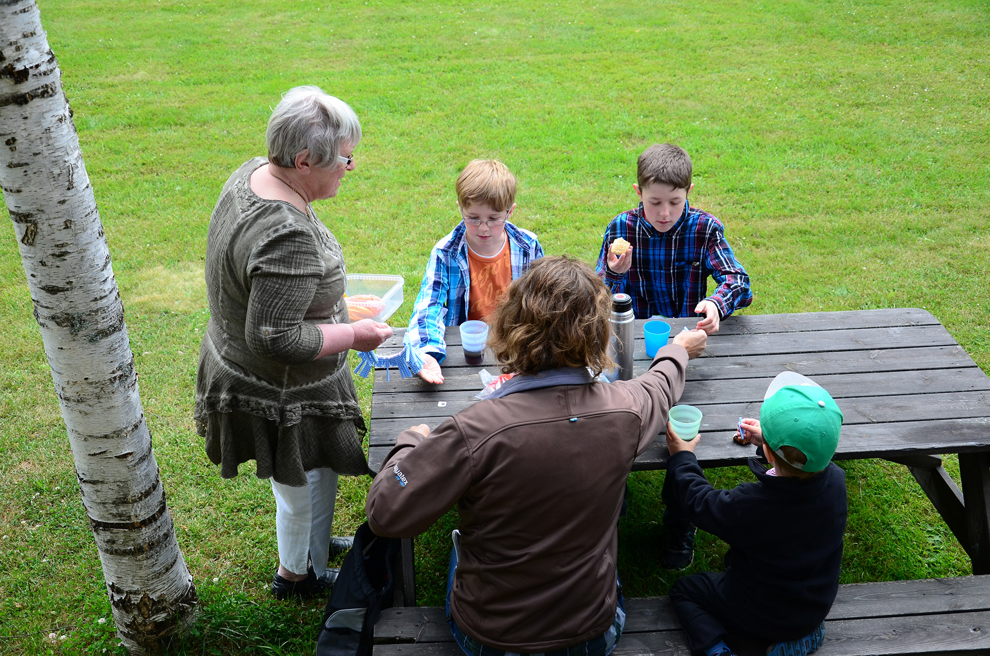 Röste.nu – Röstebilder – Midsommarfirande vid Dönjegården 2014