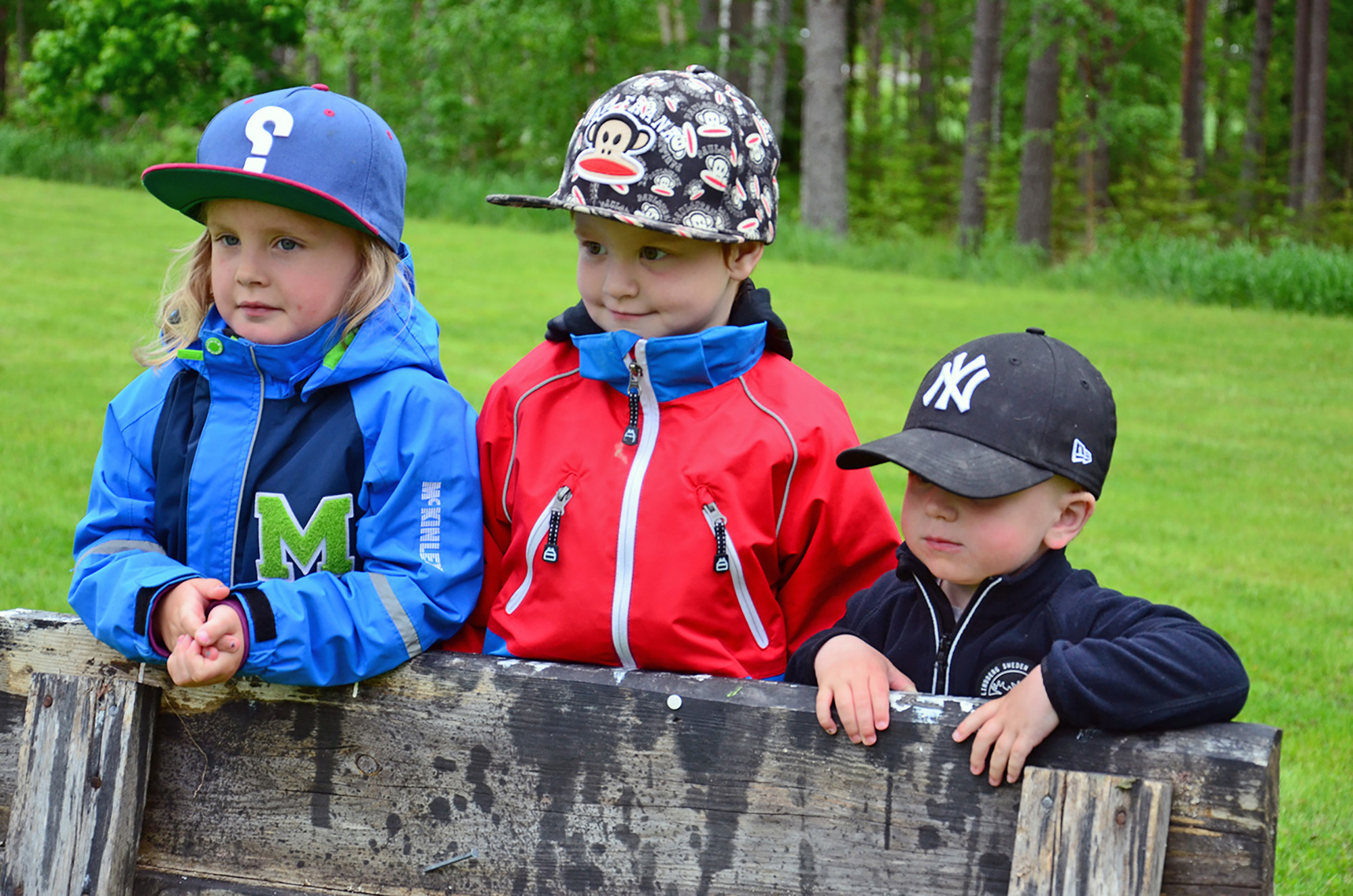Röste.nu – Röstebilder – Midsommarfirande vid Dönjegården 2015