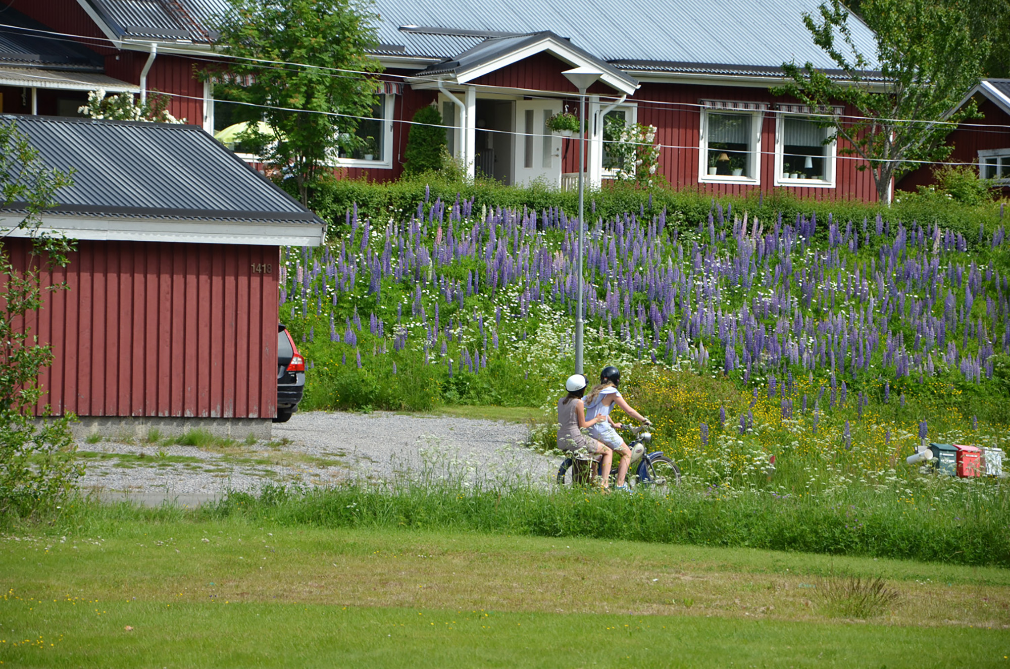 Röste.nu – Röstebilder – Midsommarfirande vid Dönjegården 2017
