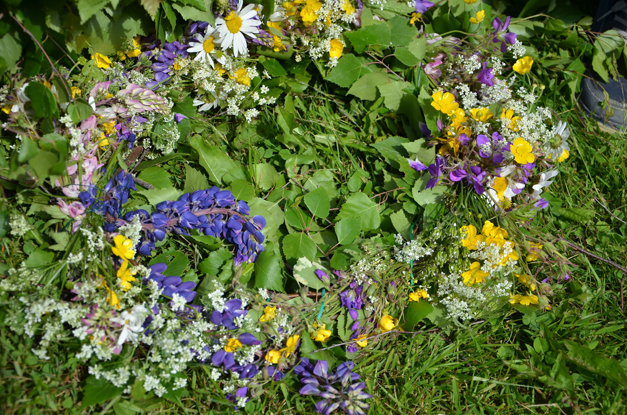 Röste.nu – Röstebilder – Midsommarfirande vid Dönjegården 2017