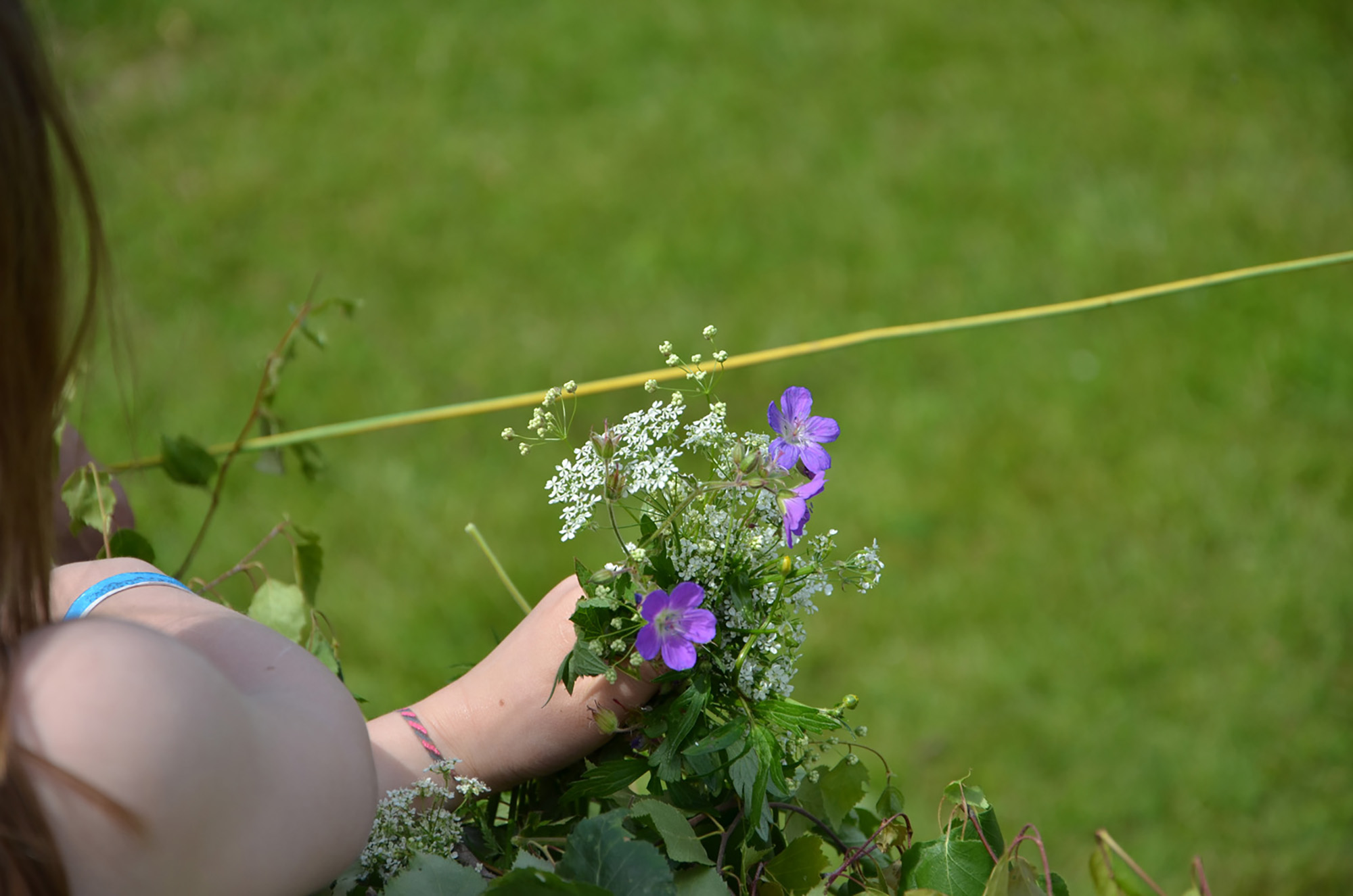 Röste.nu – Röstebilder – Midsommarfirande vid Dönjegården 2017