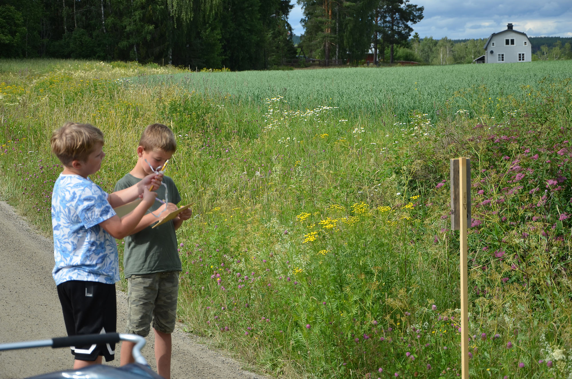 Röste.nu – Röstebilder – Motionsbingo i Röste 2024 (3 juli)