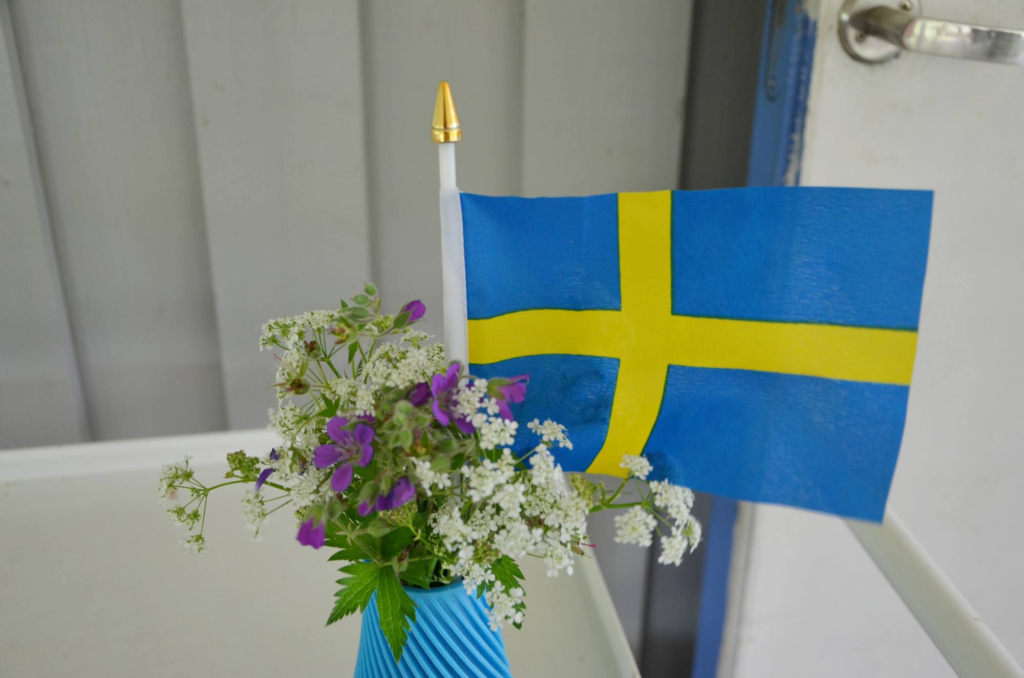 Röste.nu – Röstebilder – Nationaldagsfirande vid Dönjegården 2024