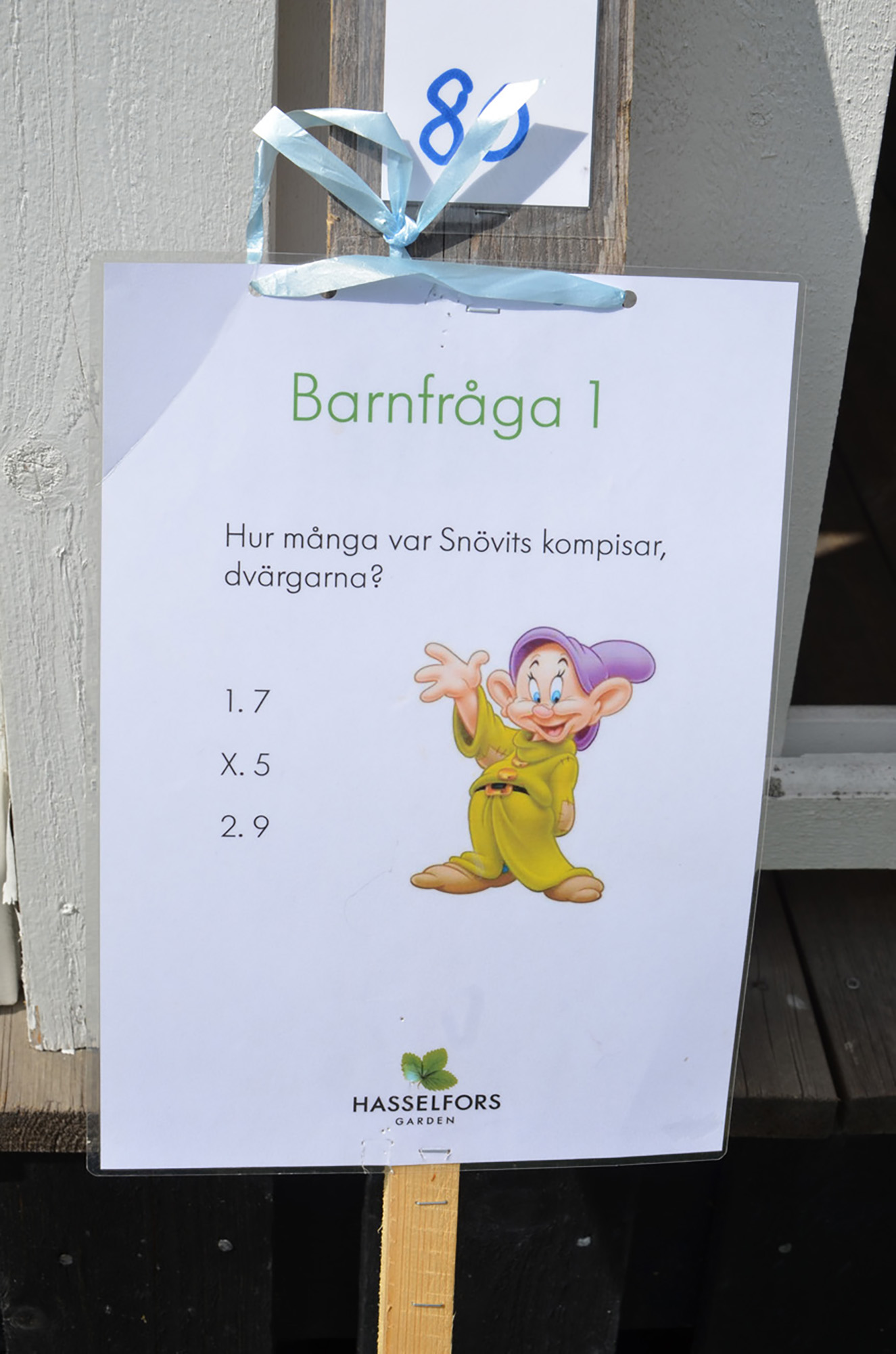 Röste.nu – Röstebilder – Nationaldagsfirande vid Dönjegården 2024