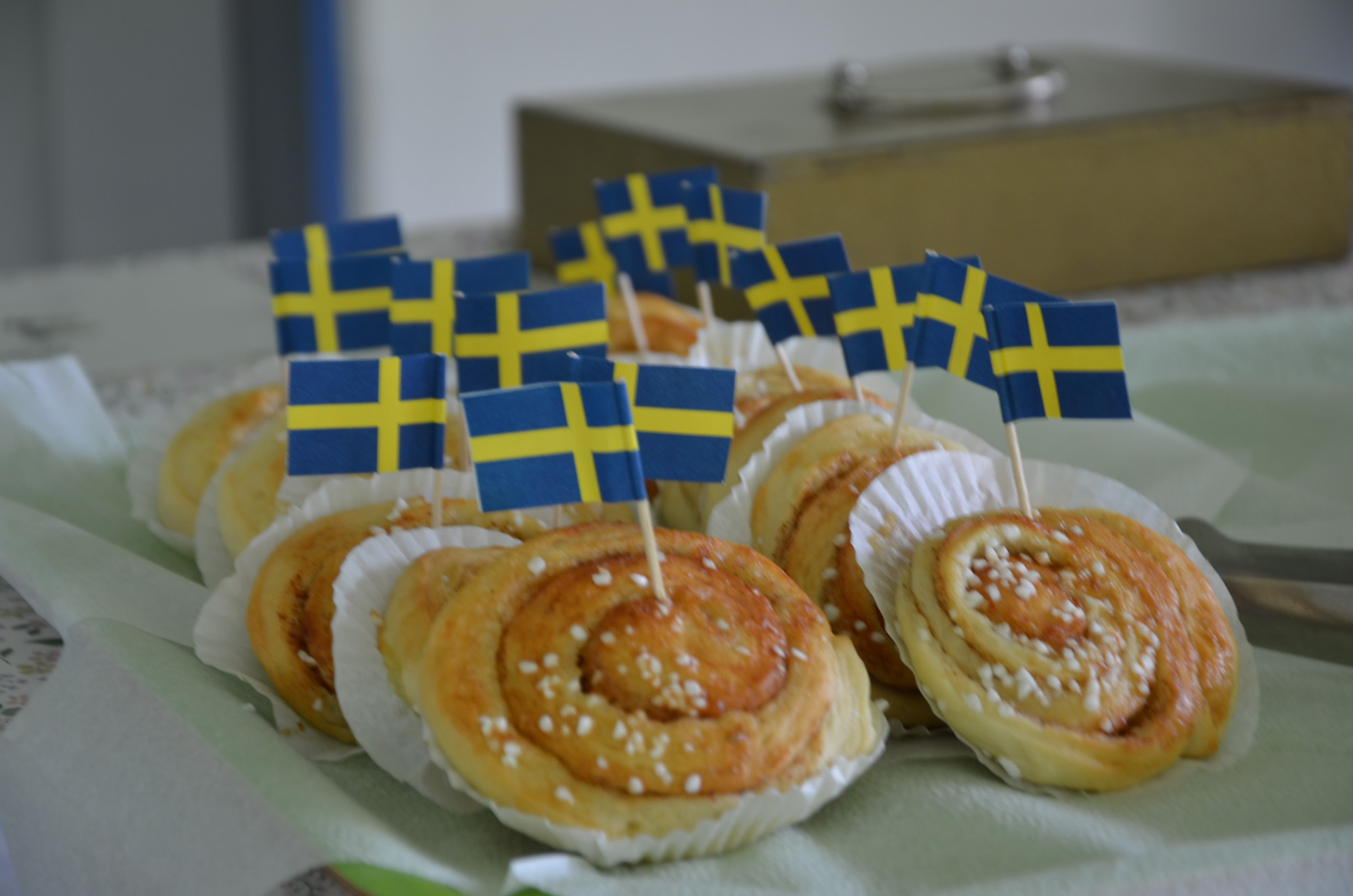 Röste.nu – Röstebilder – Nationaldagsfirande vid Dönjegården 2026