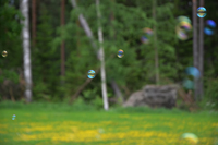 Röste.nu – Röstebilder – Nationaldagsfirande vid Dönjegården 2026