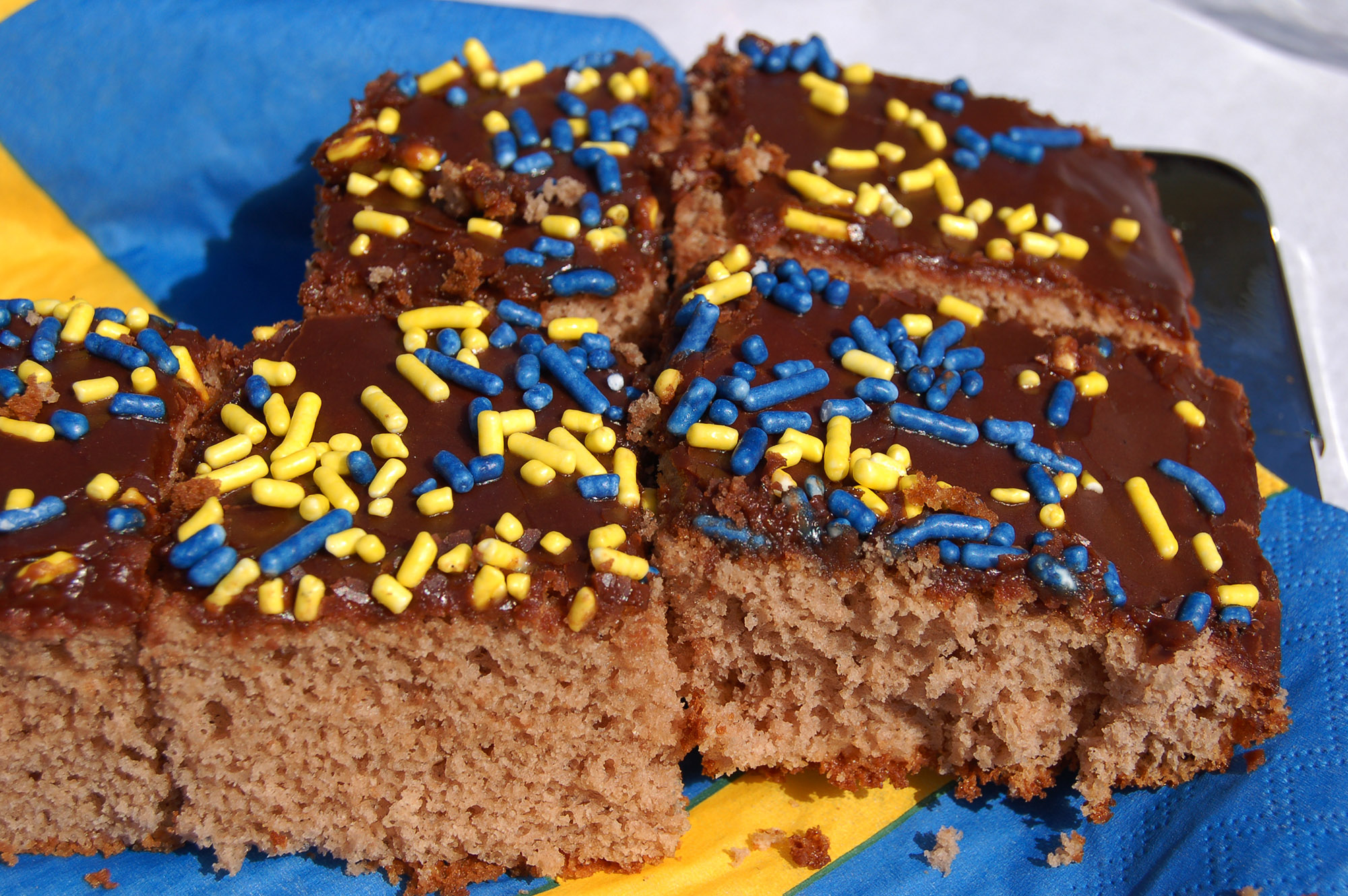 Röste.nu – Röstebilder – Nationaldagsfirande i Röste 2007