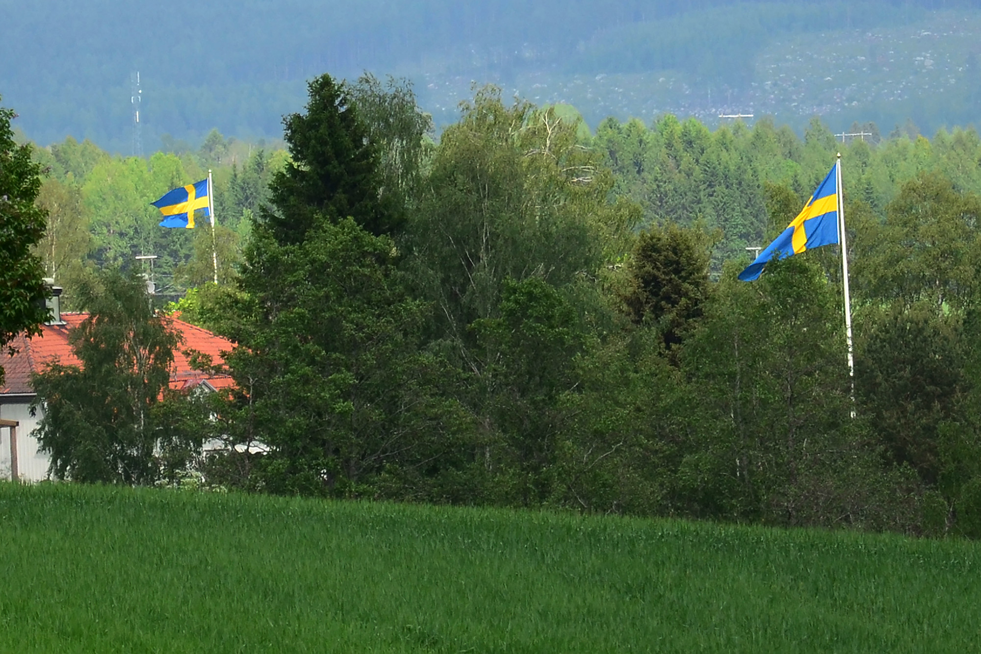 Röste.nu – Röstebilder – Nationaldagsfirande för tionde gången vid Dönjegården 2014