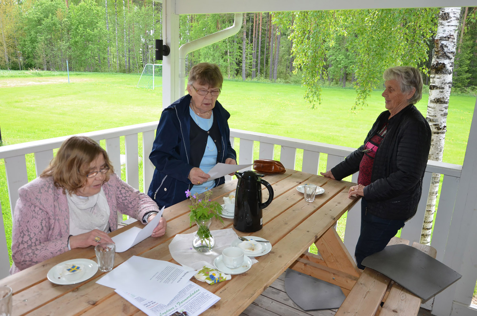 Röste.nu – Röstebilder – Nationaldagsfirande vid Dönjegården 2017