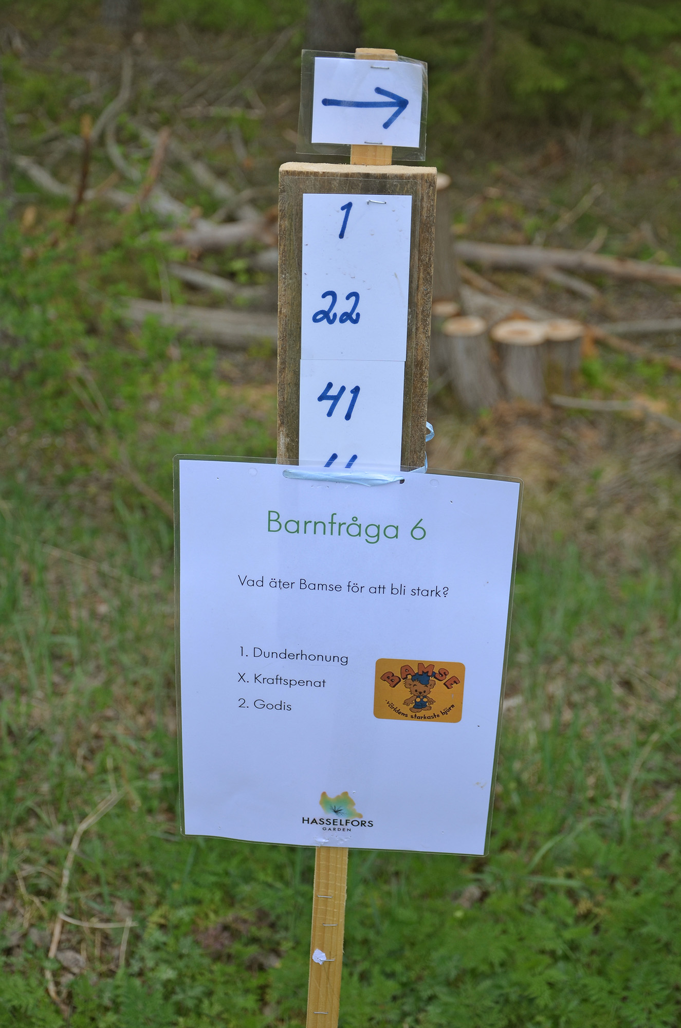 Röste.nu – Röstebilder – Nationaldagsfirande vid Dönjegården 2023