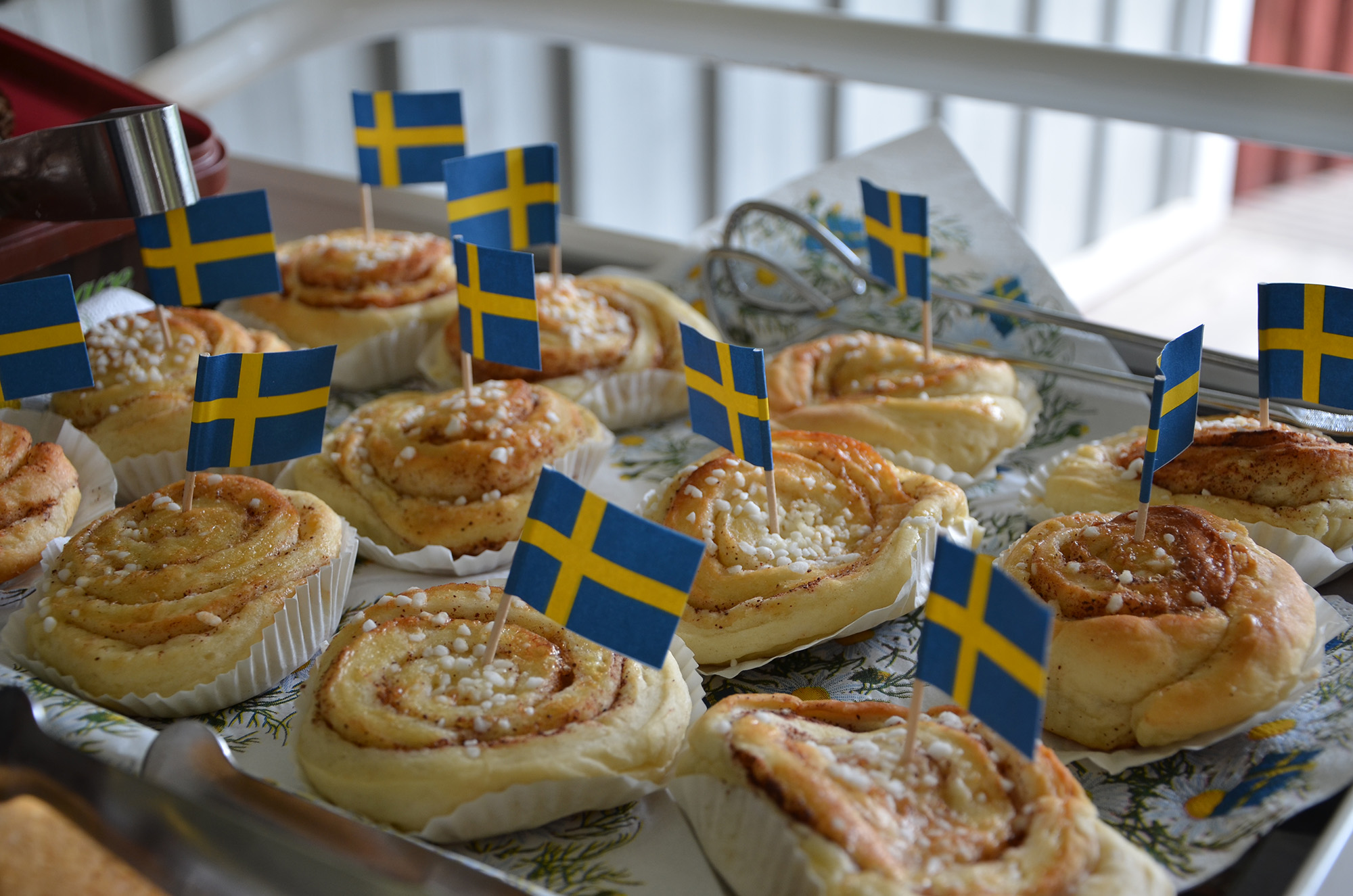 Röste.nu – Röstebilder – Nationaldagsfirande vid Dönjegården 2023