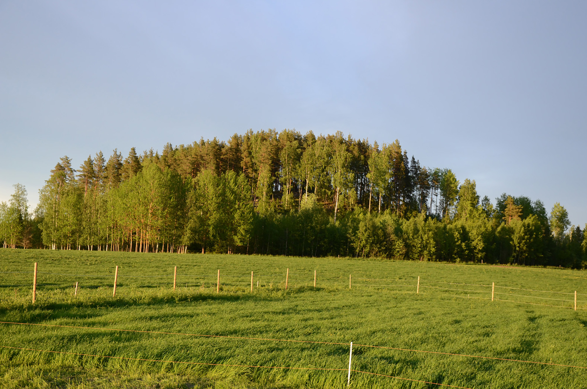 Röste.nu – Röstebilder – Nypremiär för logdans i Farmorsladan 2016