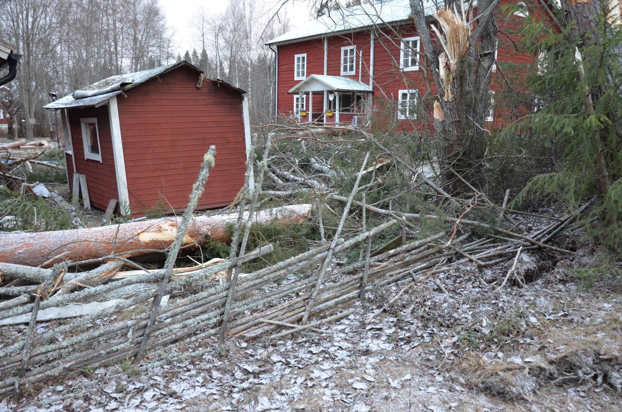 Röste.nu – Röstebilder – Så drabbades Röste av stormen Johannes 2025