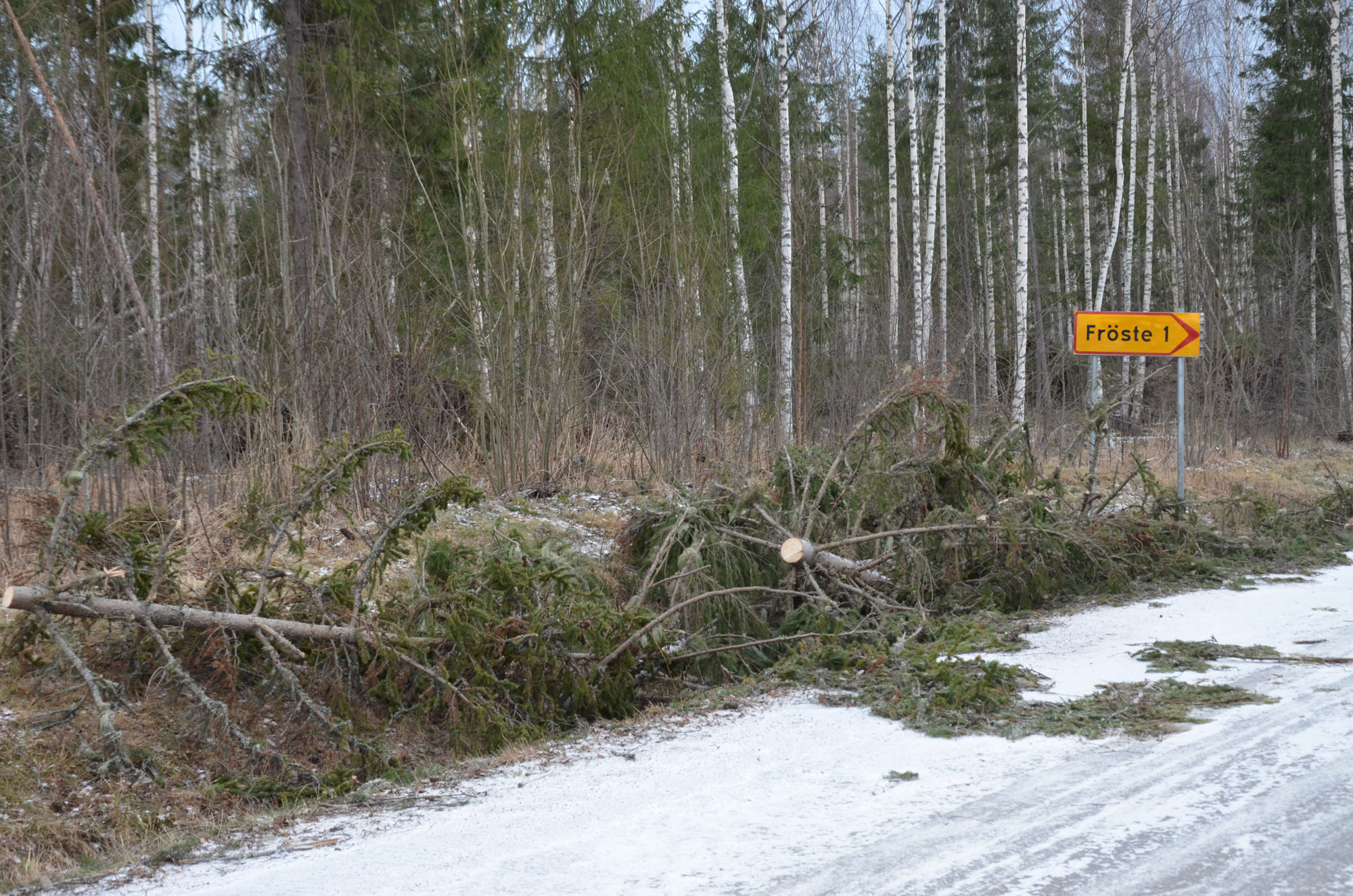 Röste.nu – Röstebilder – Så drabbades Röste av stormen Johannes 2025