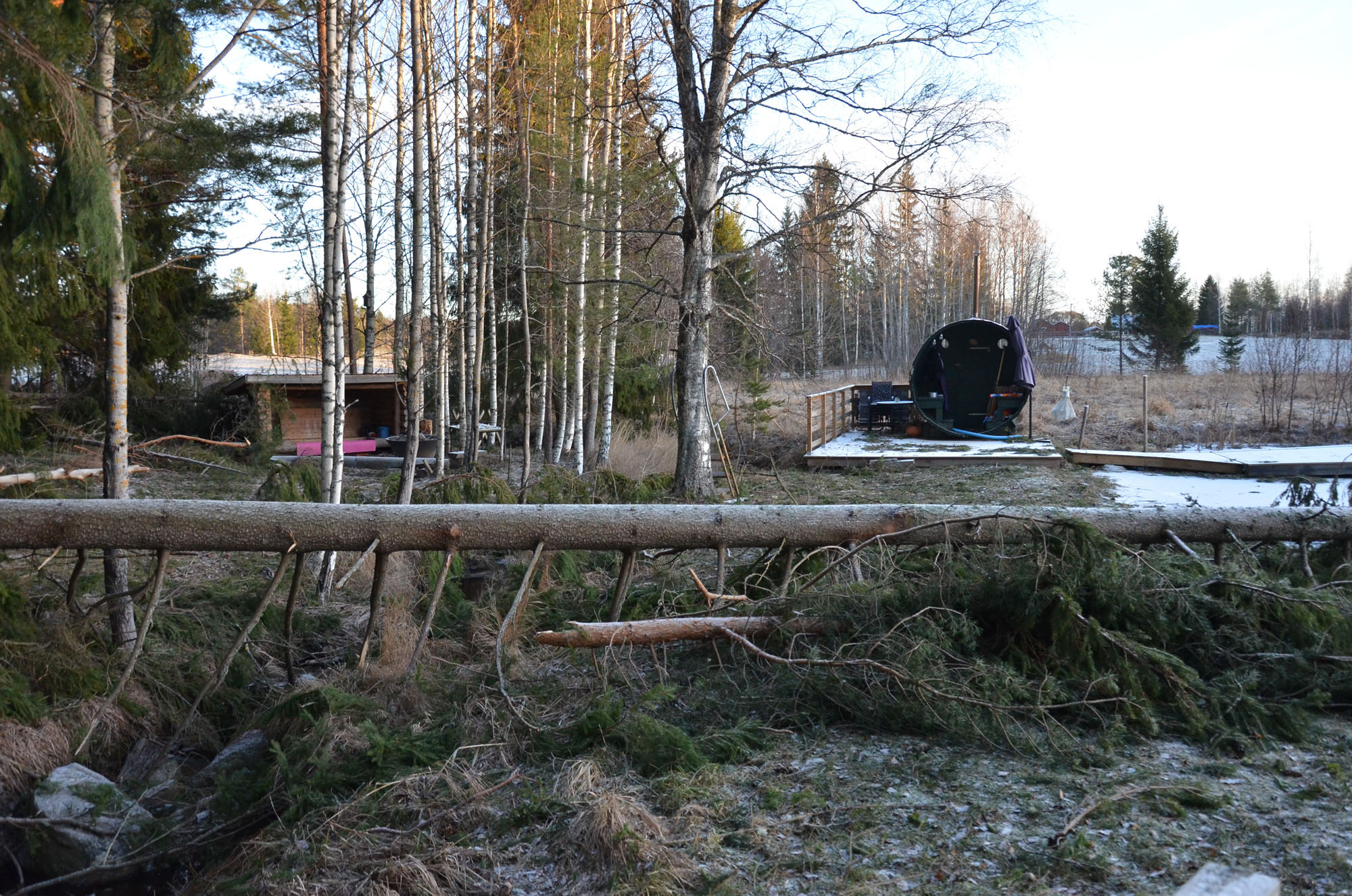Röste.nu – Röstebilder – Så drabbades Röste av stormen Johannes 2025