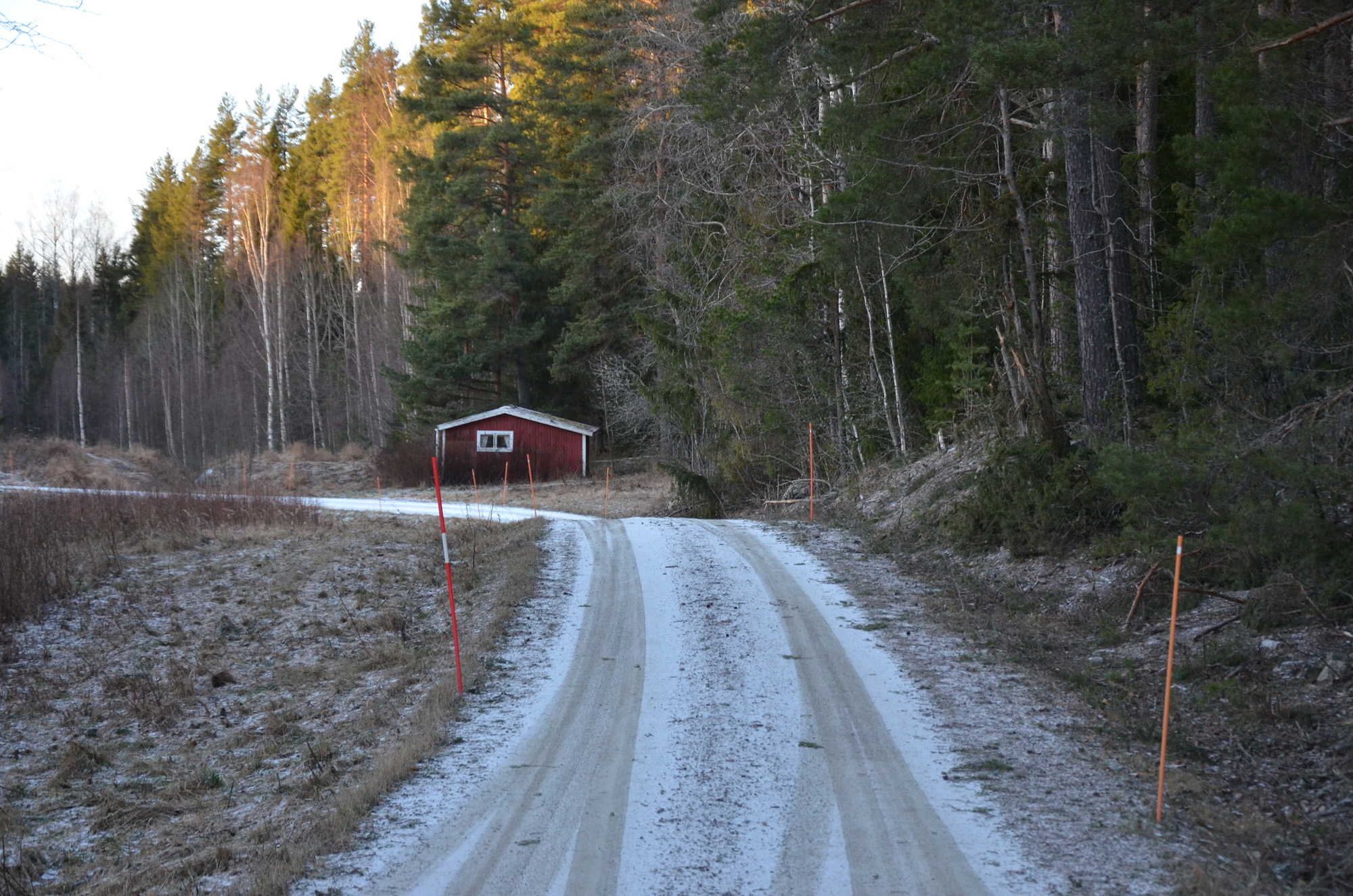 Röste.nu – Röstebilder – Så drabbades Röste av stormen Johannes 2025