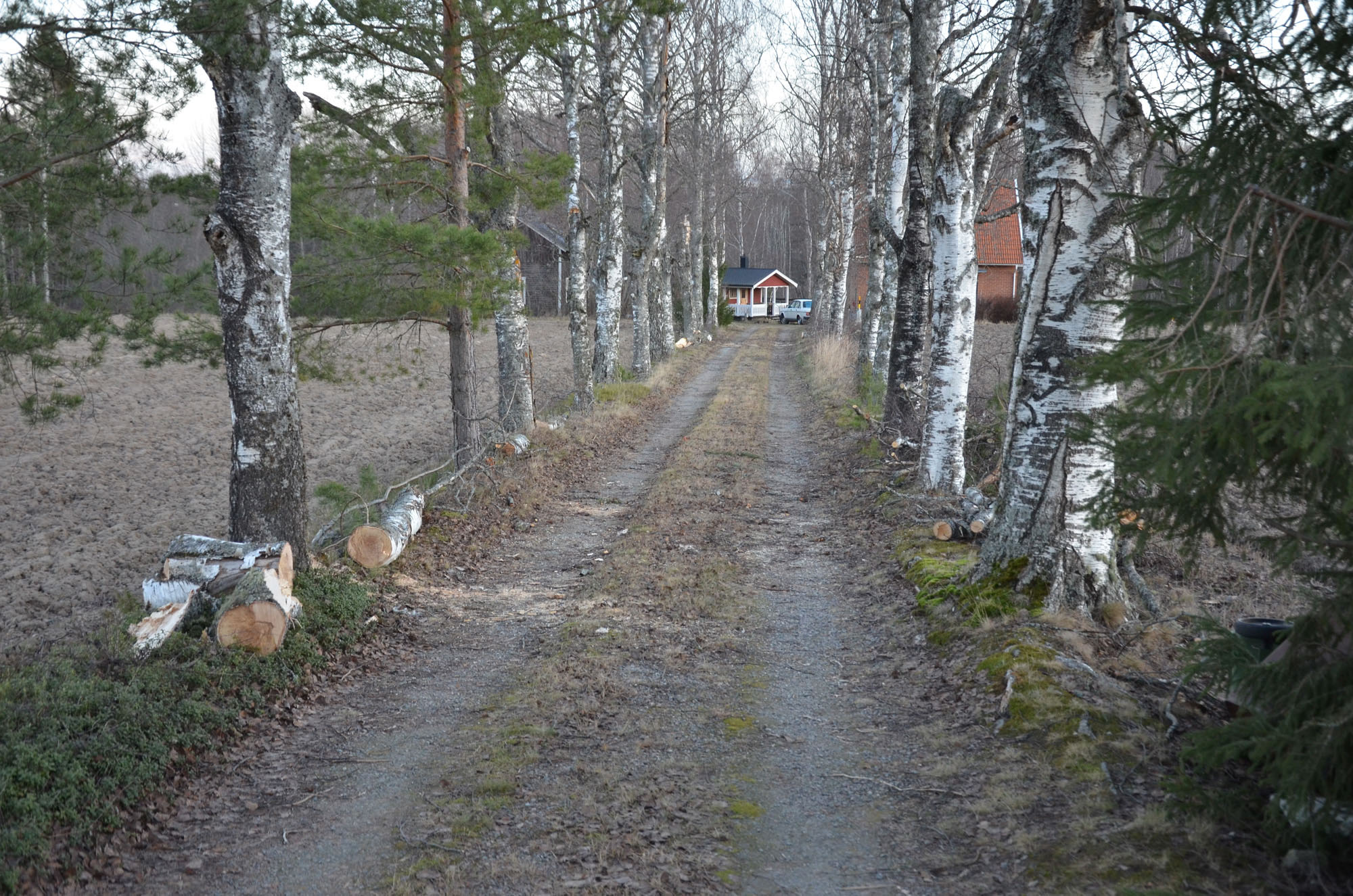 Röste.nu – Röstebilder – Så drabbades Röste av stormen Johannes 2025