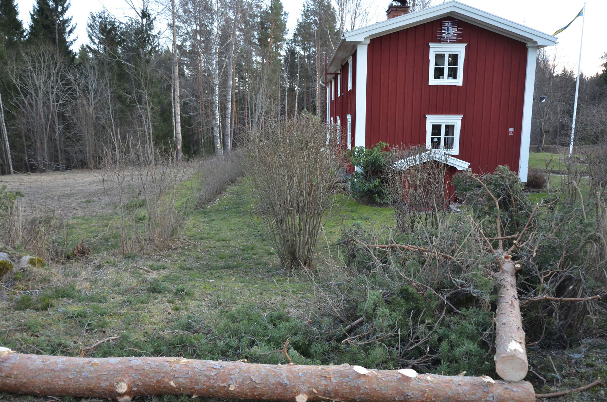 Röste.nu – Röstebilder – Så drabbades Röste av stormen Johannes 2025