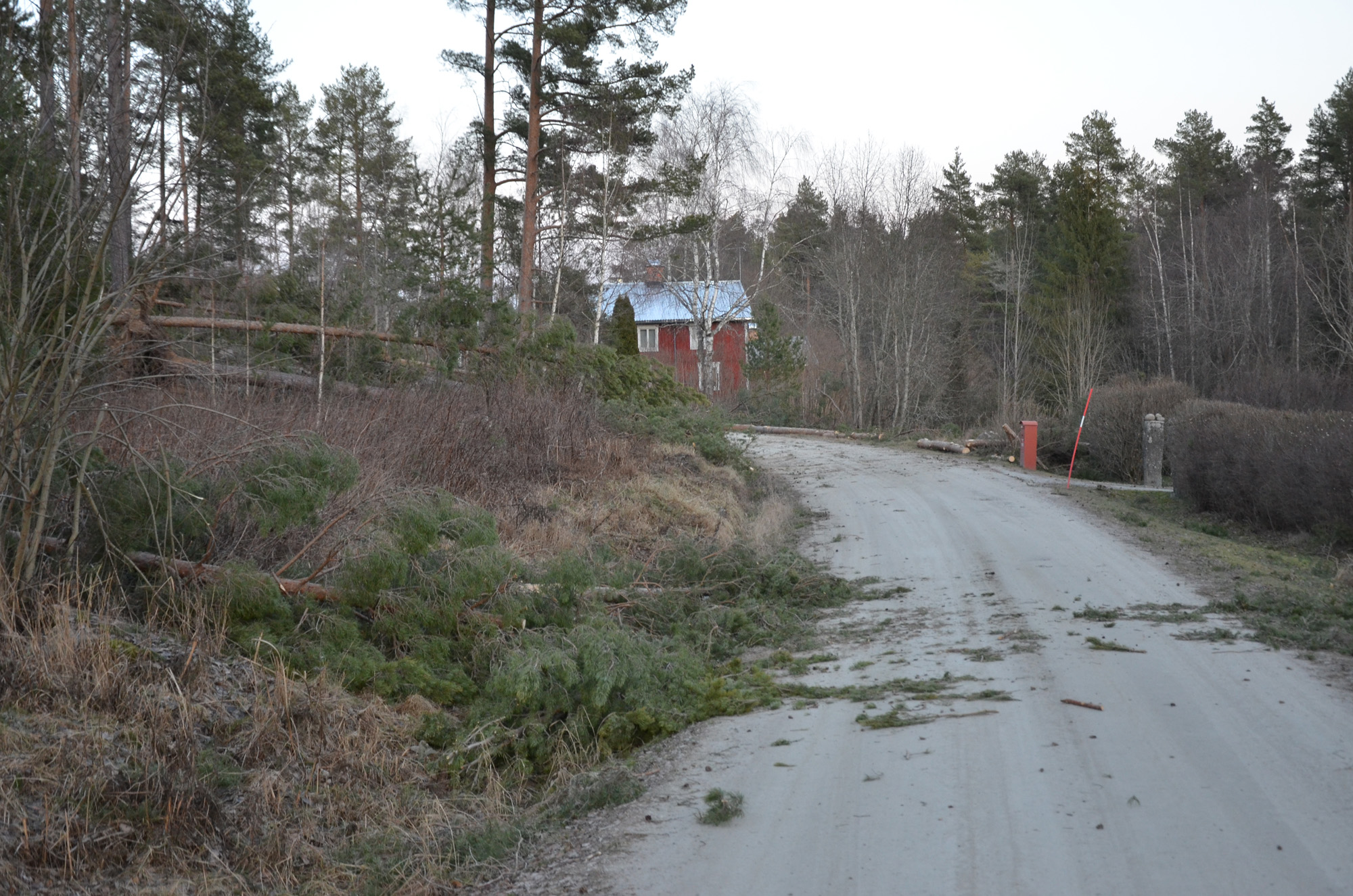 Röste.nu – Röstebilder – Så drabbades Röste av stormen Johannes 2025