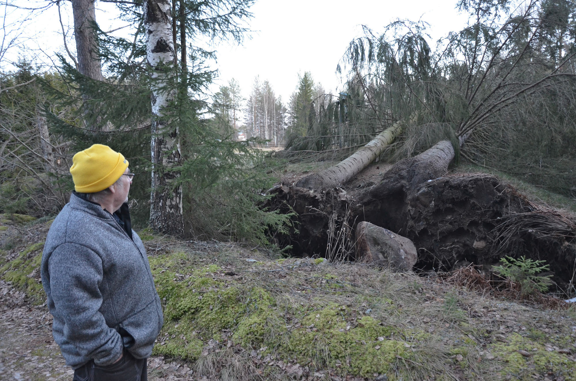 Röste.nu – Röstebilder – Så drabbades Röste av stormen Johannes 2025