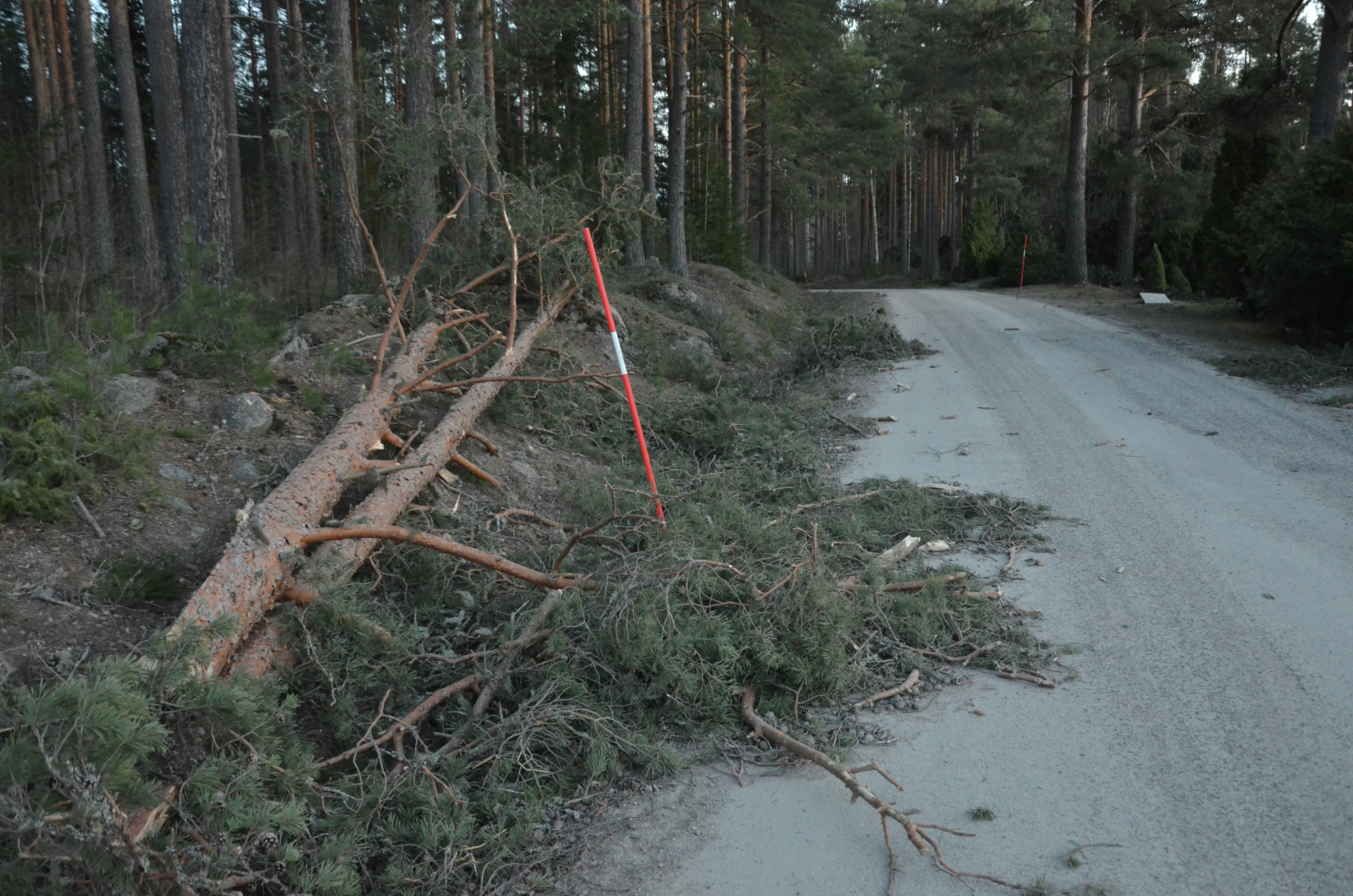 Röste.nu – Röstebilder – Så drabbades Röste av stormen Johannes 2025