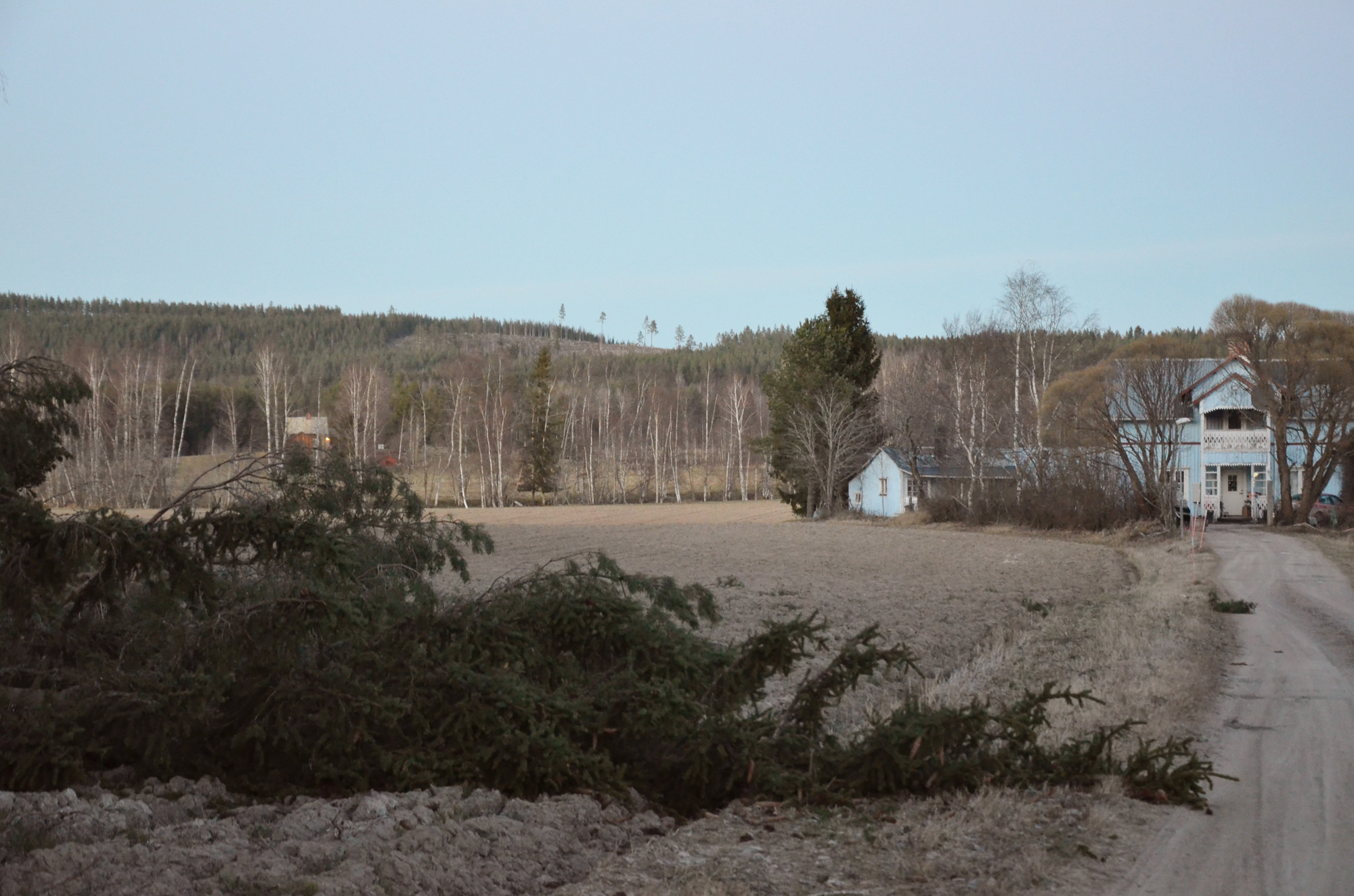 Röste.nu – Röstebilder – Så drabbades Röste av stormen Johannes 2025