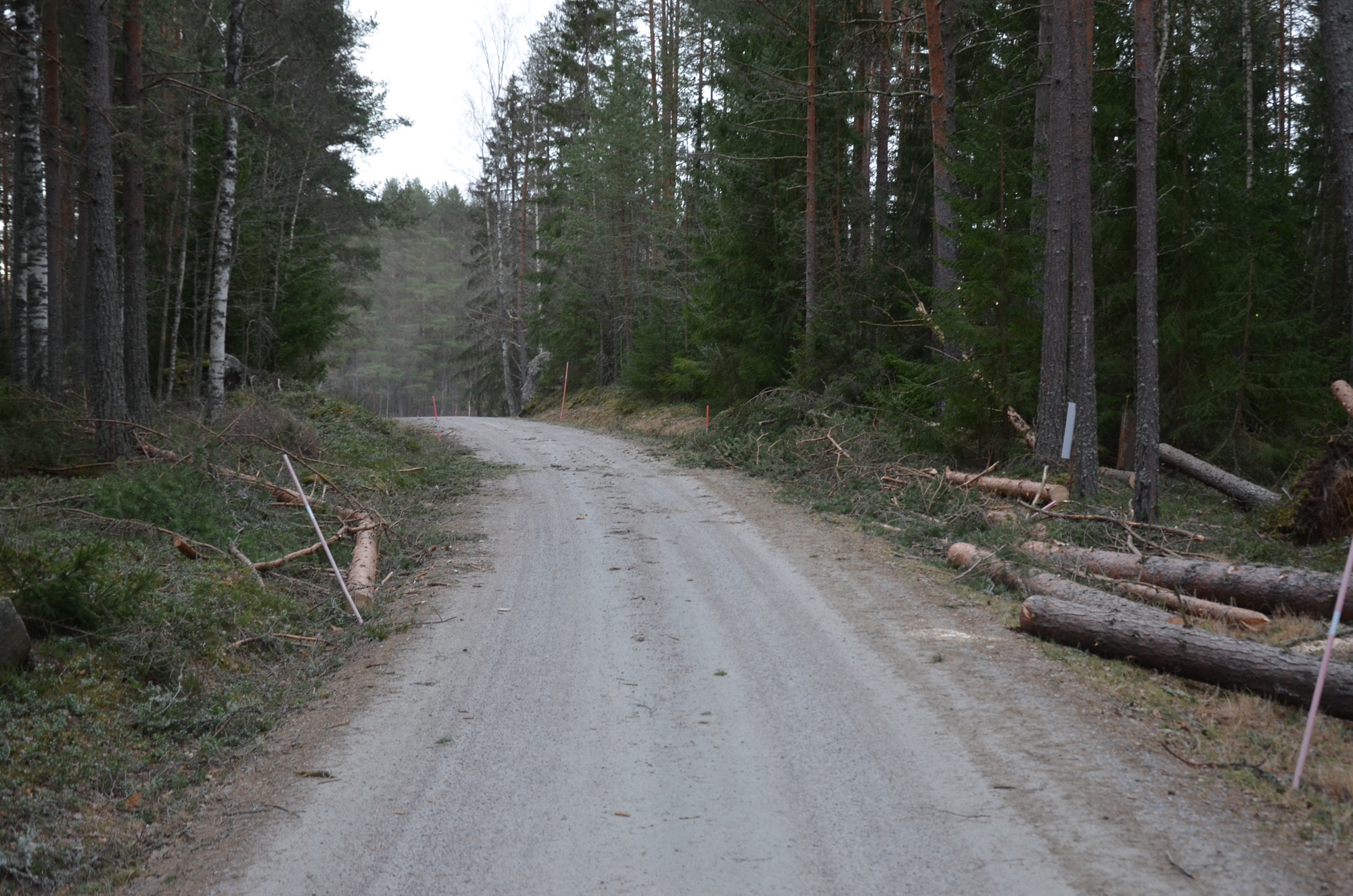Röste.nu – Röstebilder – Så drabbades Röste av stormen Johannes 2025
