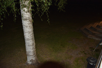 Röste.nu – Röstebilder – Tacoafton med musikquiz i Dönjegården 2026
