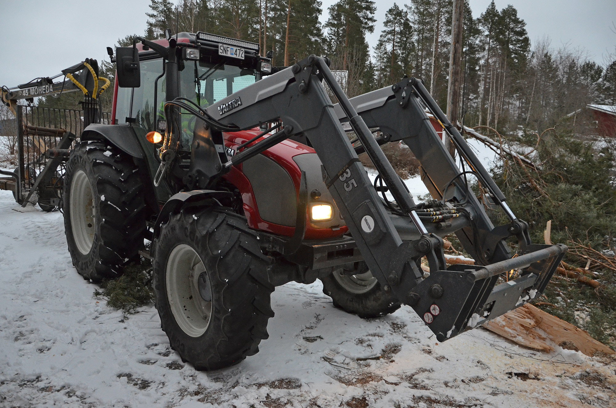 Röste.nu – Tallen vid Dönjegården fälldes efter stormskada 2022