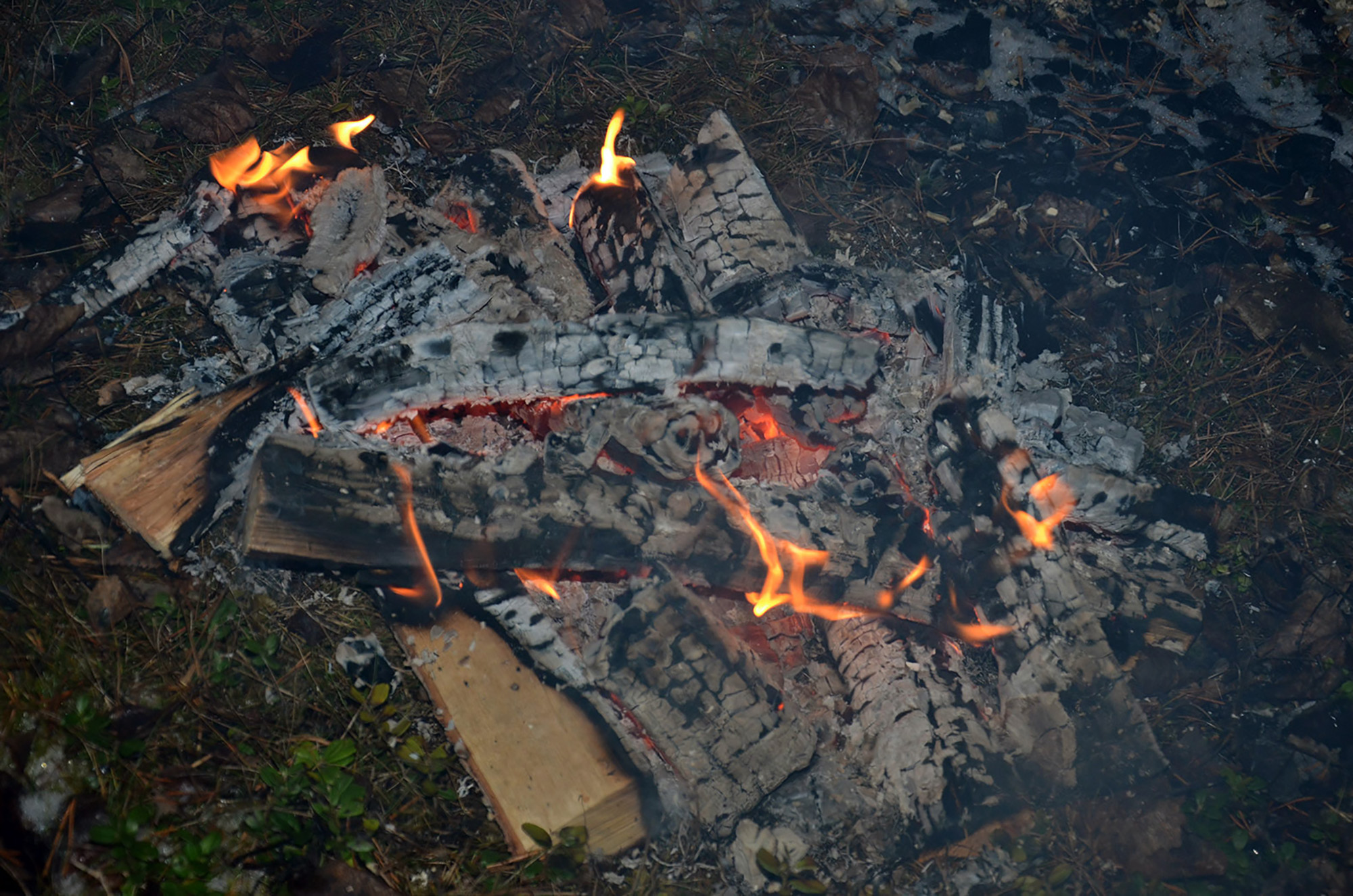 Röste.nu – Röstebilder – Tomtekväll med kändisbesök 2015