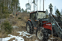 Röste.nu – Röstebilder – Uppröjning på Kalvberget 2012 efter stormen Dagmar 2011