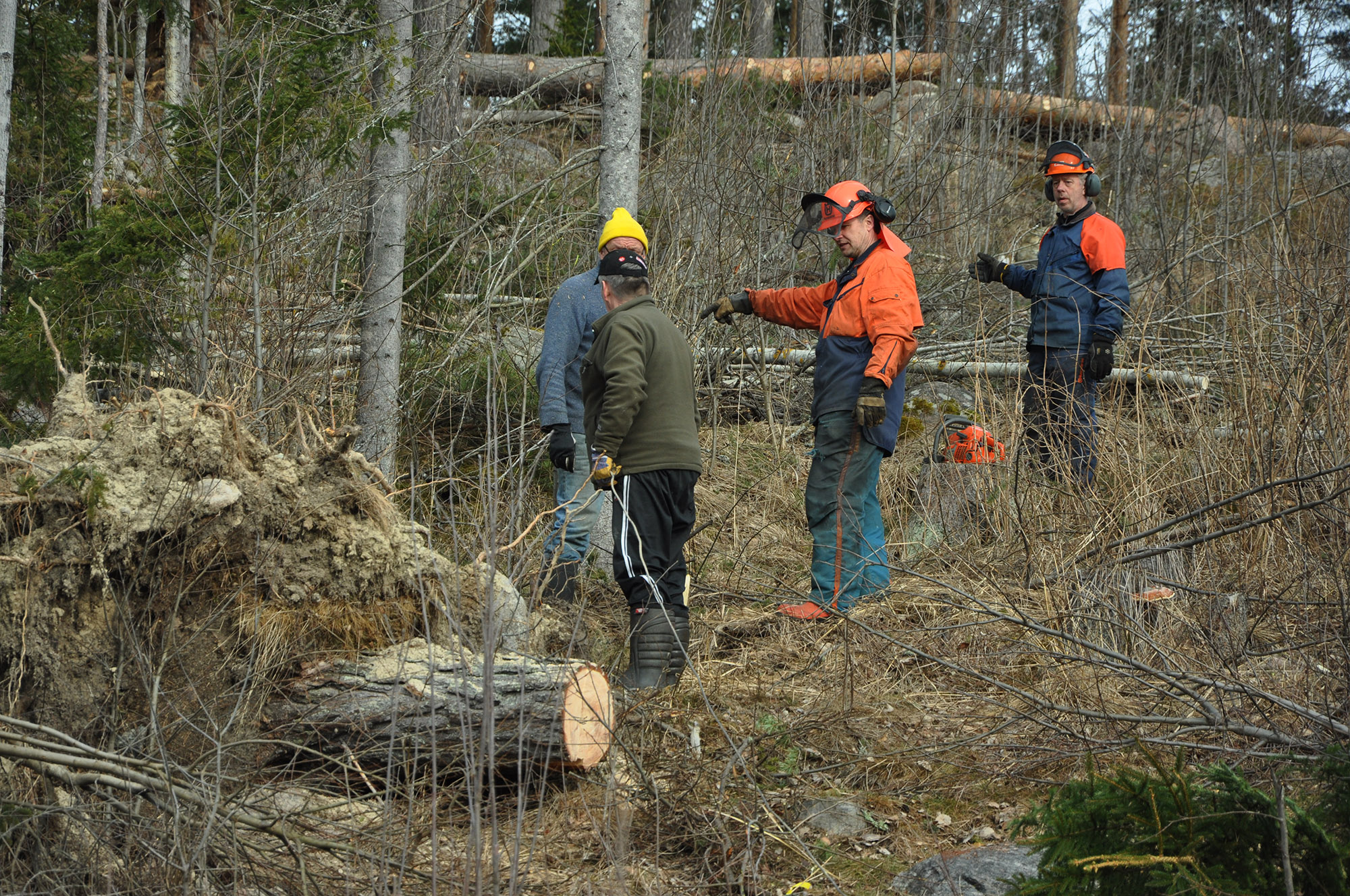 Röste.nu – Röstebilder 2012 – Uppröjning på Kalvberget efter stormen Dagmar 2011