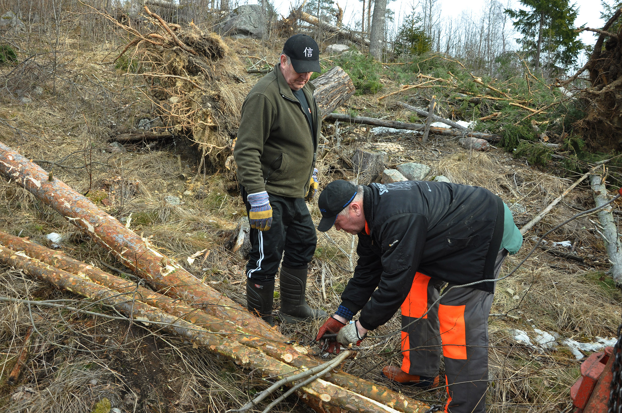 Röste.nu – Röstebilder 2012 – Uppröjning på Kalvberget efter stormen Dagmar 2011