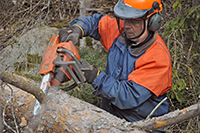 Röste.nu – Röstebilder – Uppröjning på Kalvberget 2012 efter stormen Dagmar 2011