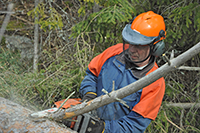 Röste.nu – Röstebilder – Uppröjning på Kalvberget 2012 efter stormen Dagmar 2011