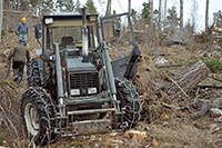 Röste.nu – Röstebilder – Uppröjning på Kalvberget 2012 efter stormen Dagmar 2011