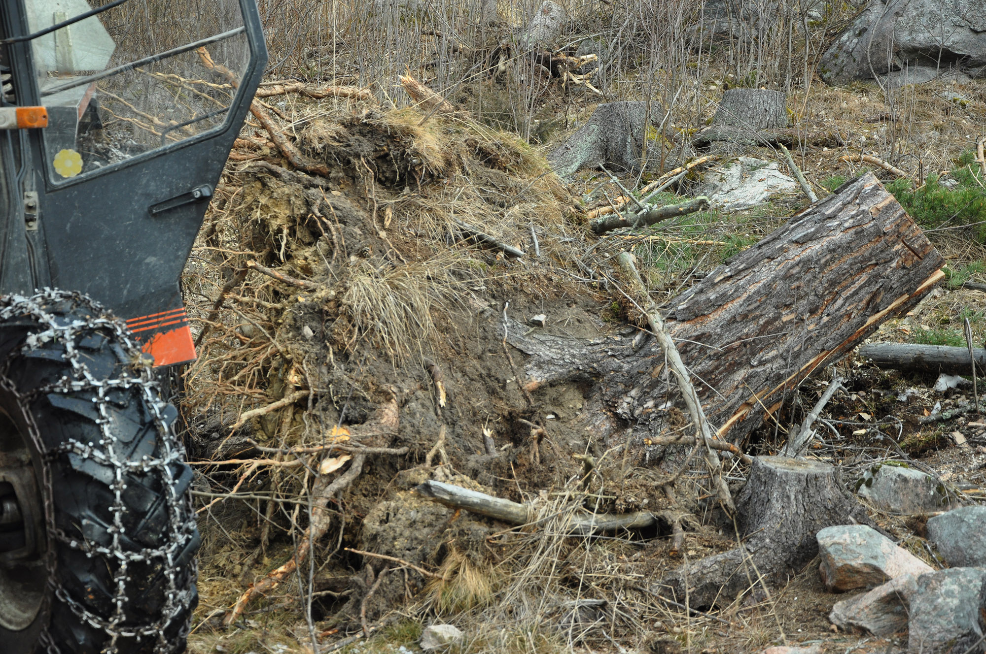 Röste.nu – Röstebilder 2012 – Uppröjning på Kalvberget efter stormen Dagmar 2011
