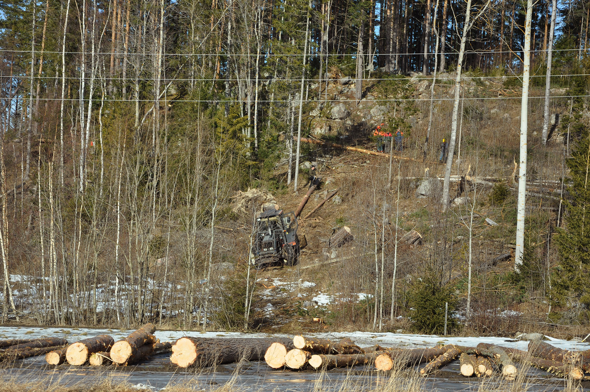 Röste.nu – Röstebilder 2012 – Uppröjning på Kalvberget efter stormen Dagmar 2011