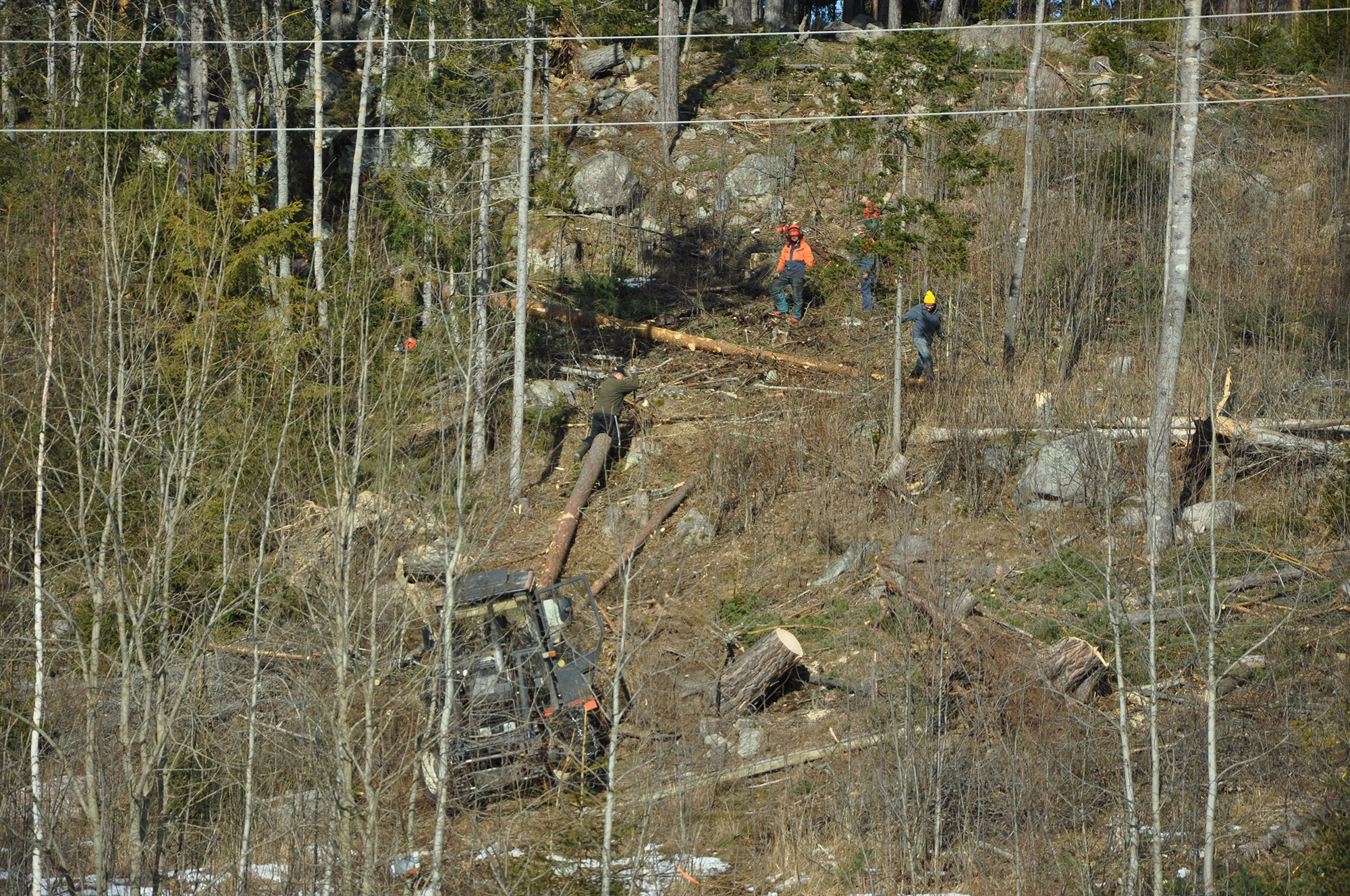 Röste.nu – Röstebilder 2012 – Uppröjning på Kalvberget efter stormen Dagmar 2011